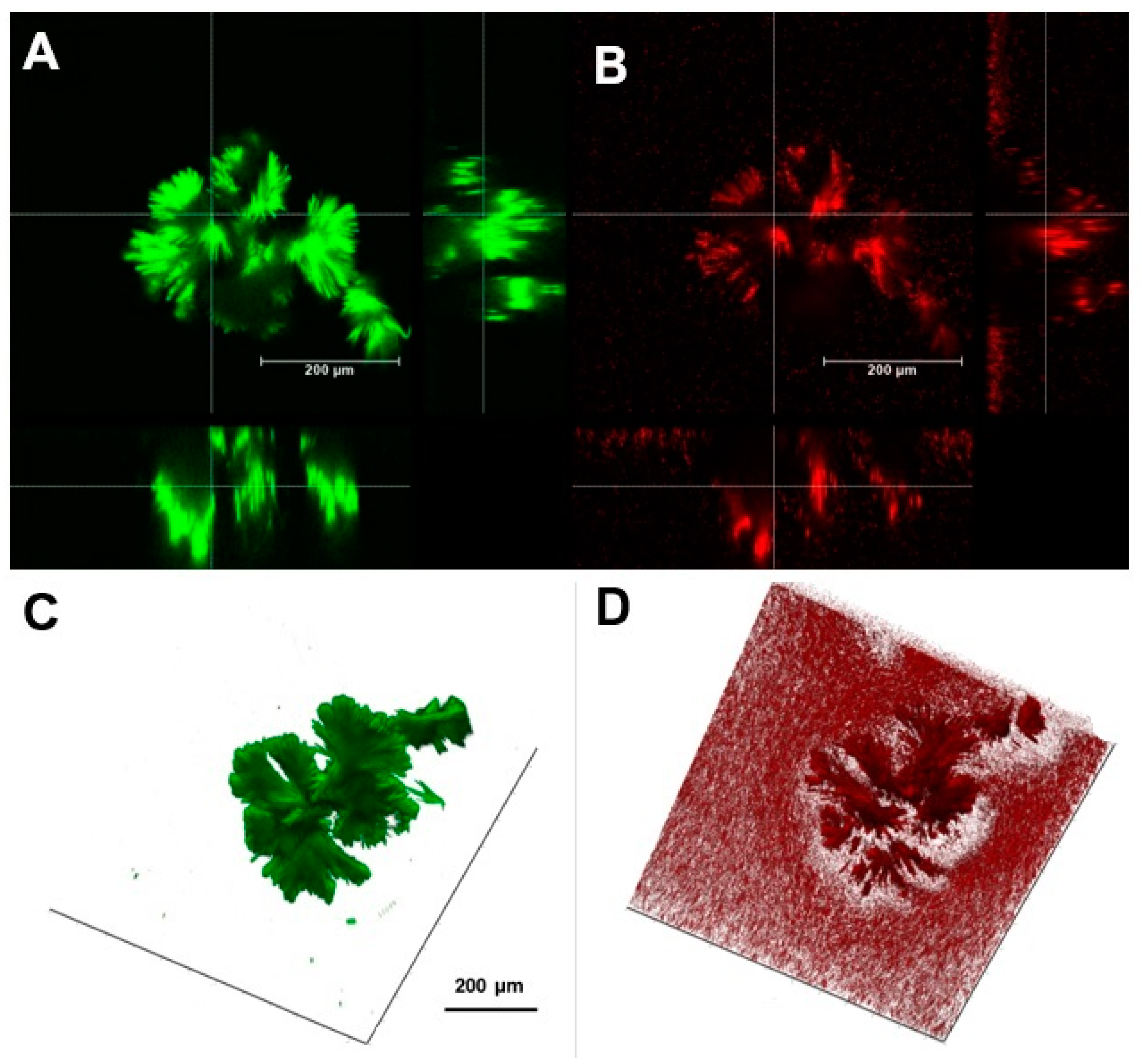 Coatings 14 00070 g003