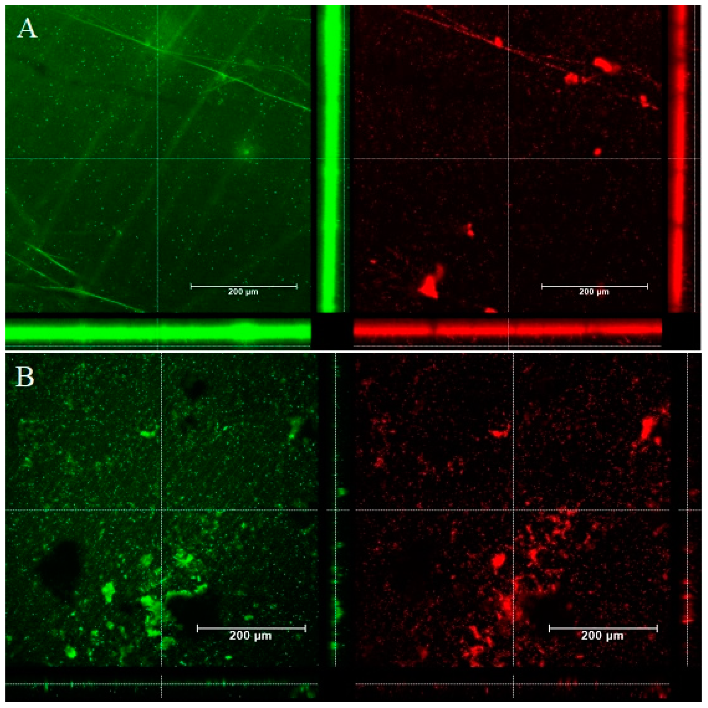 Coatings 14 00070 g007