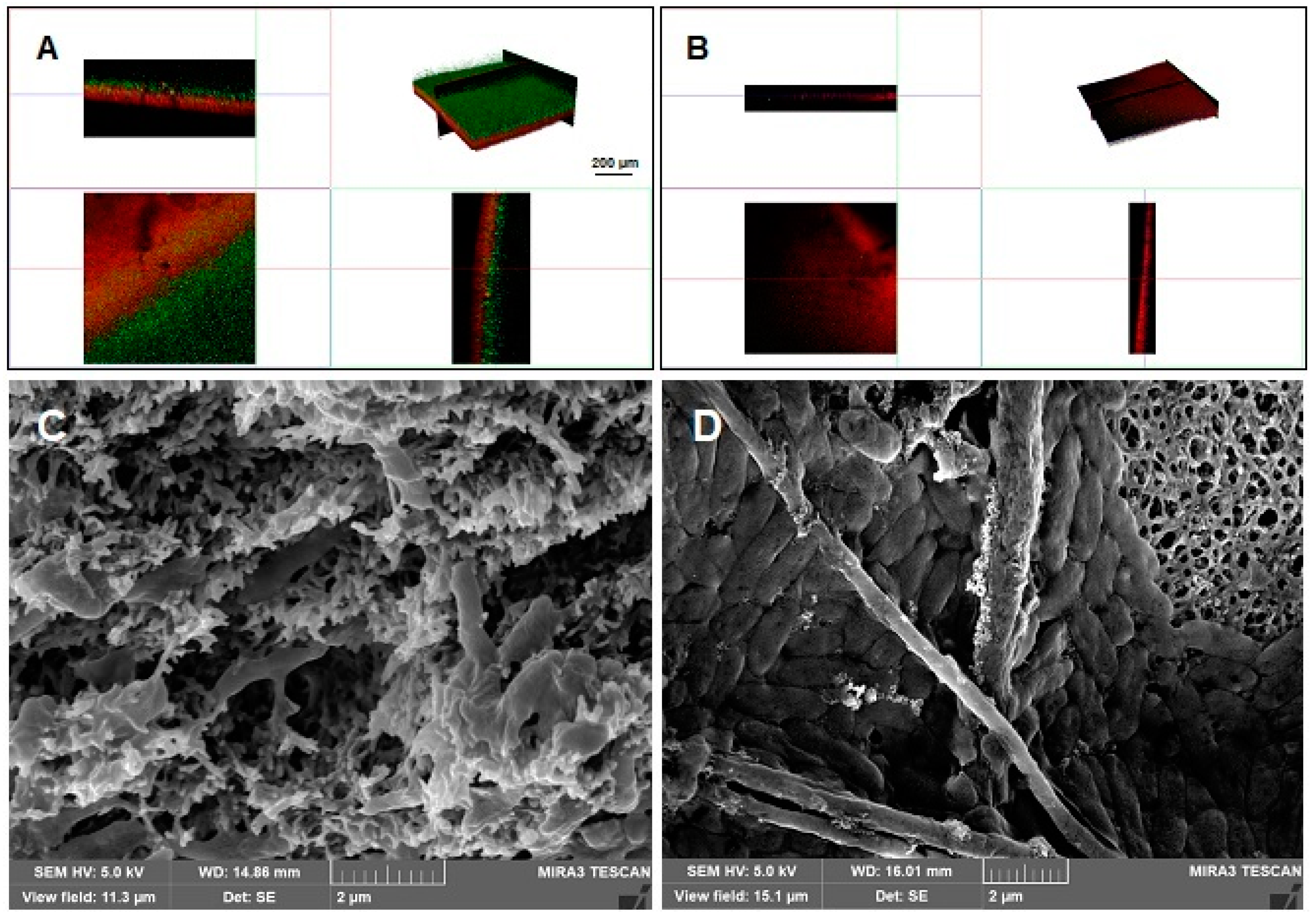Coatings 14 00070 g008