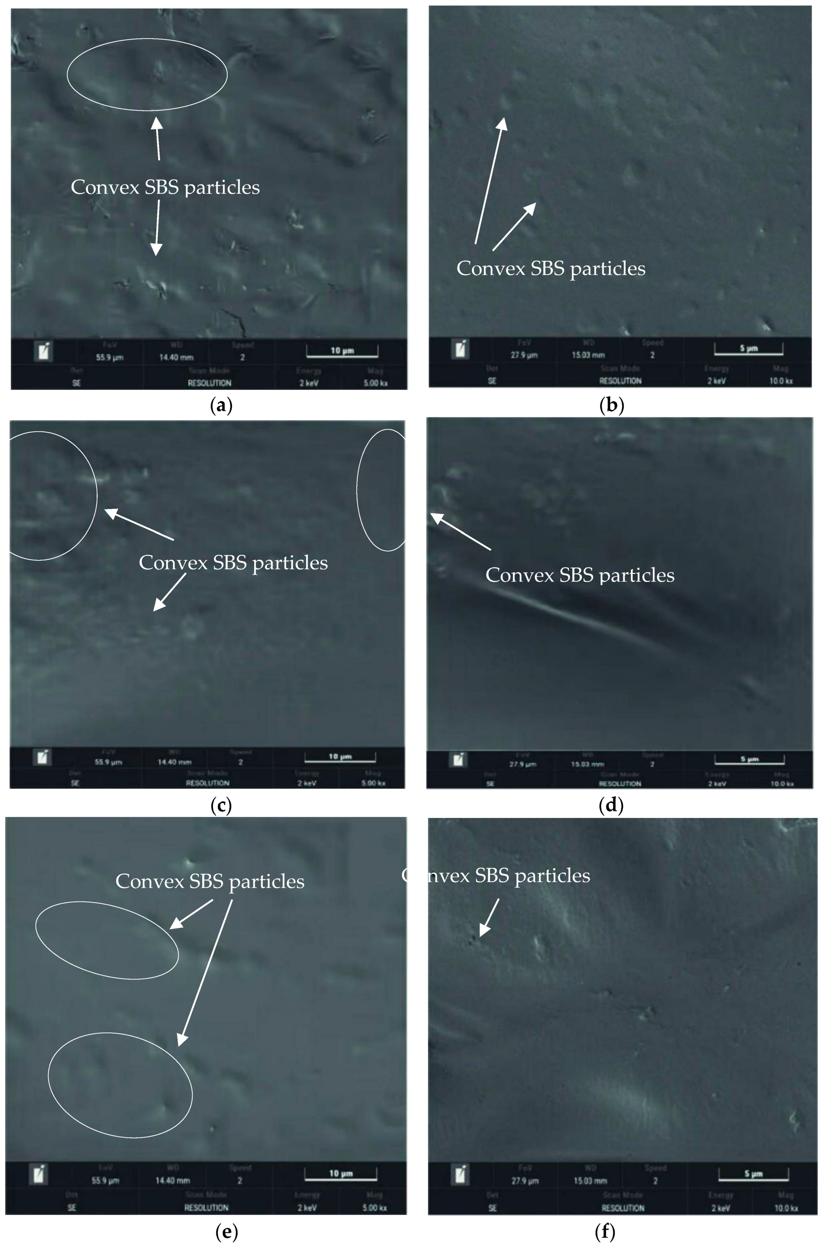 Coatings 14 00072 g014a