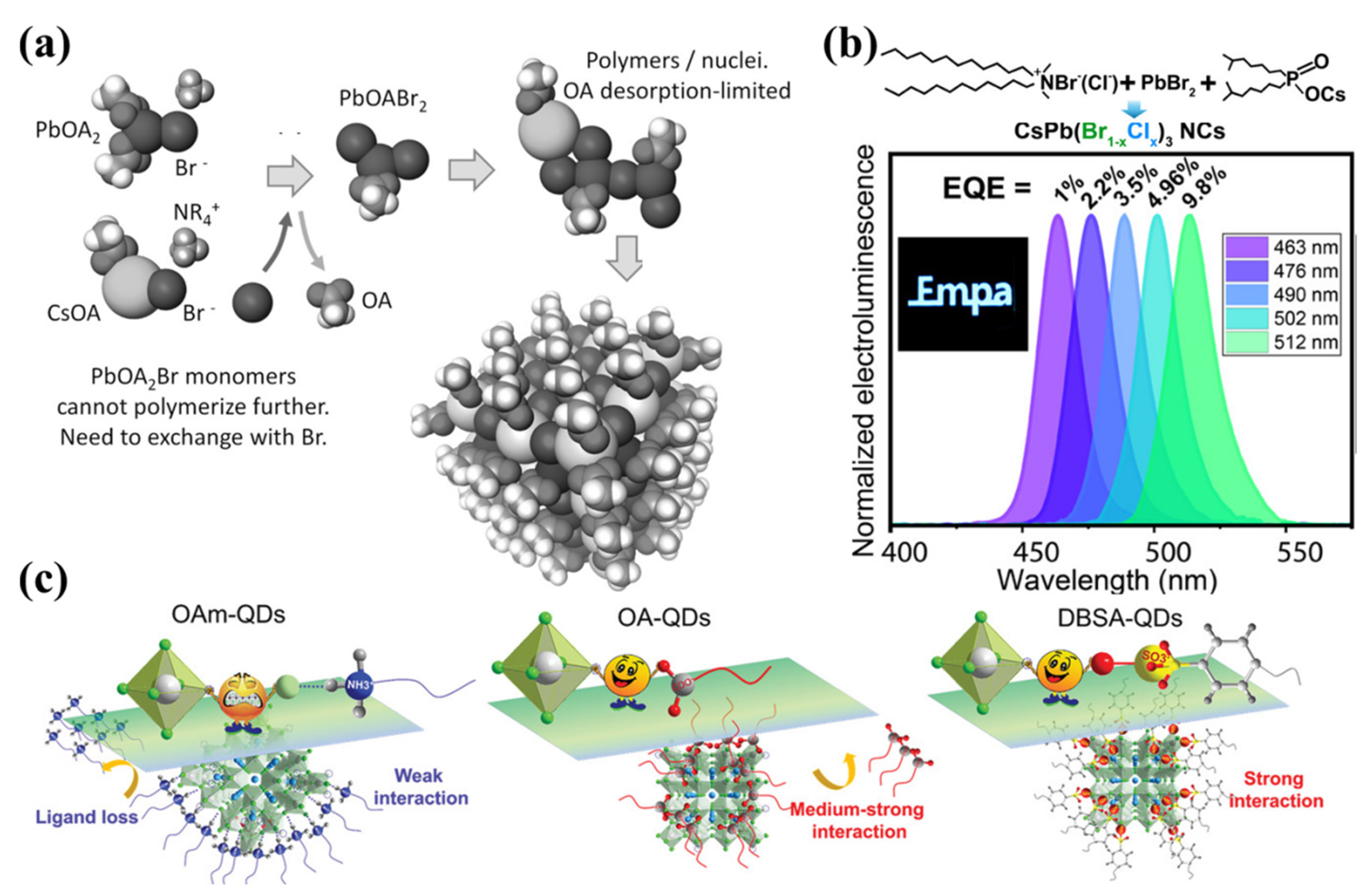 Coatings 14 00083 g006