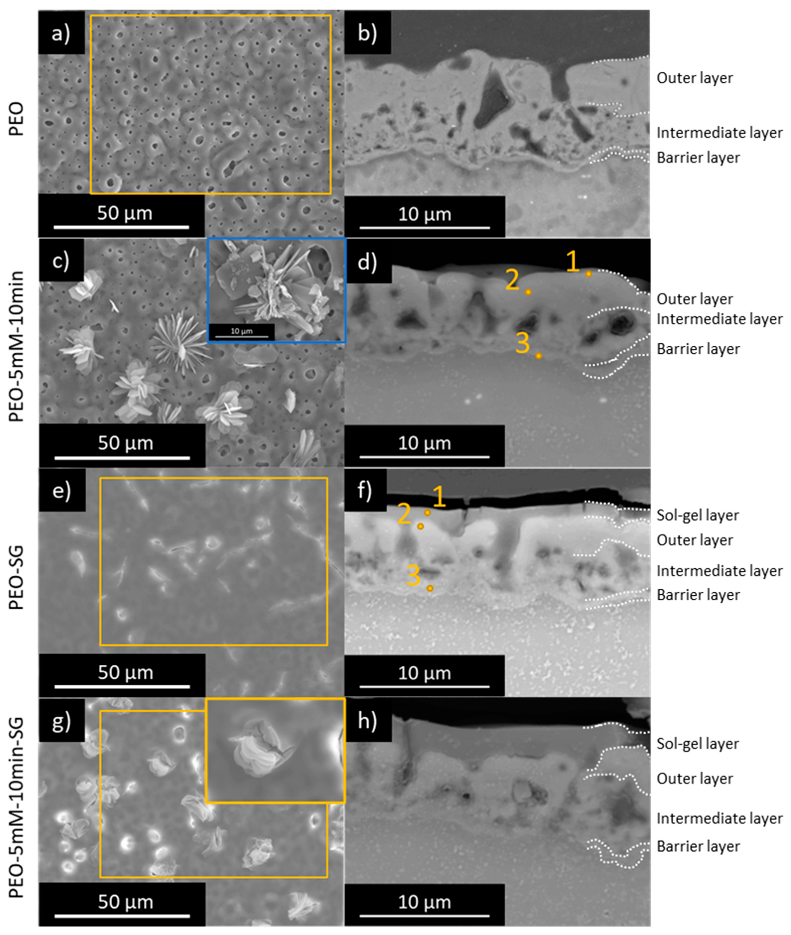 Coatings 14 00084 g005
