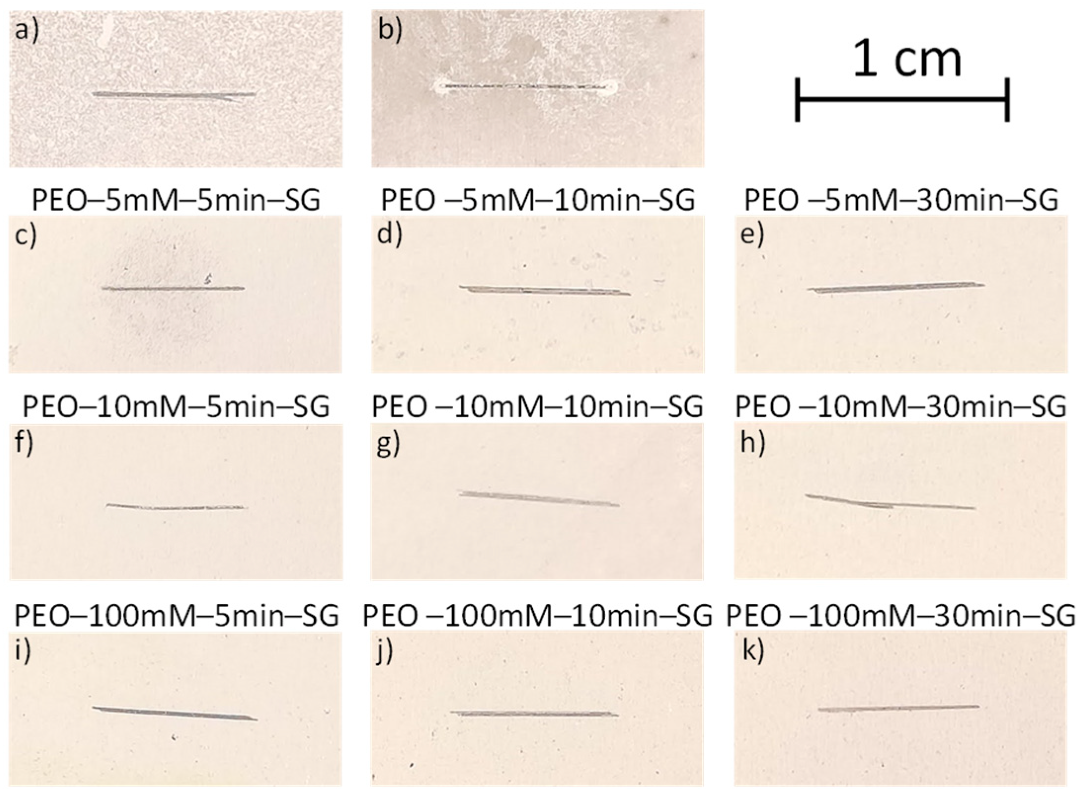Coatings 14 00084 g006
