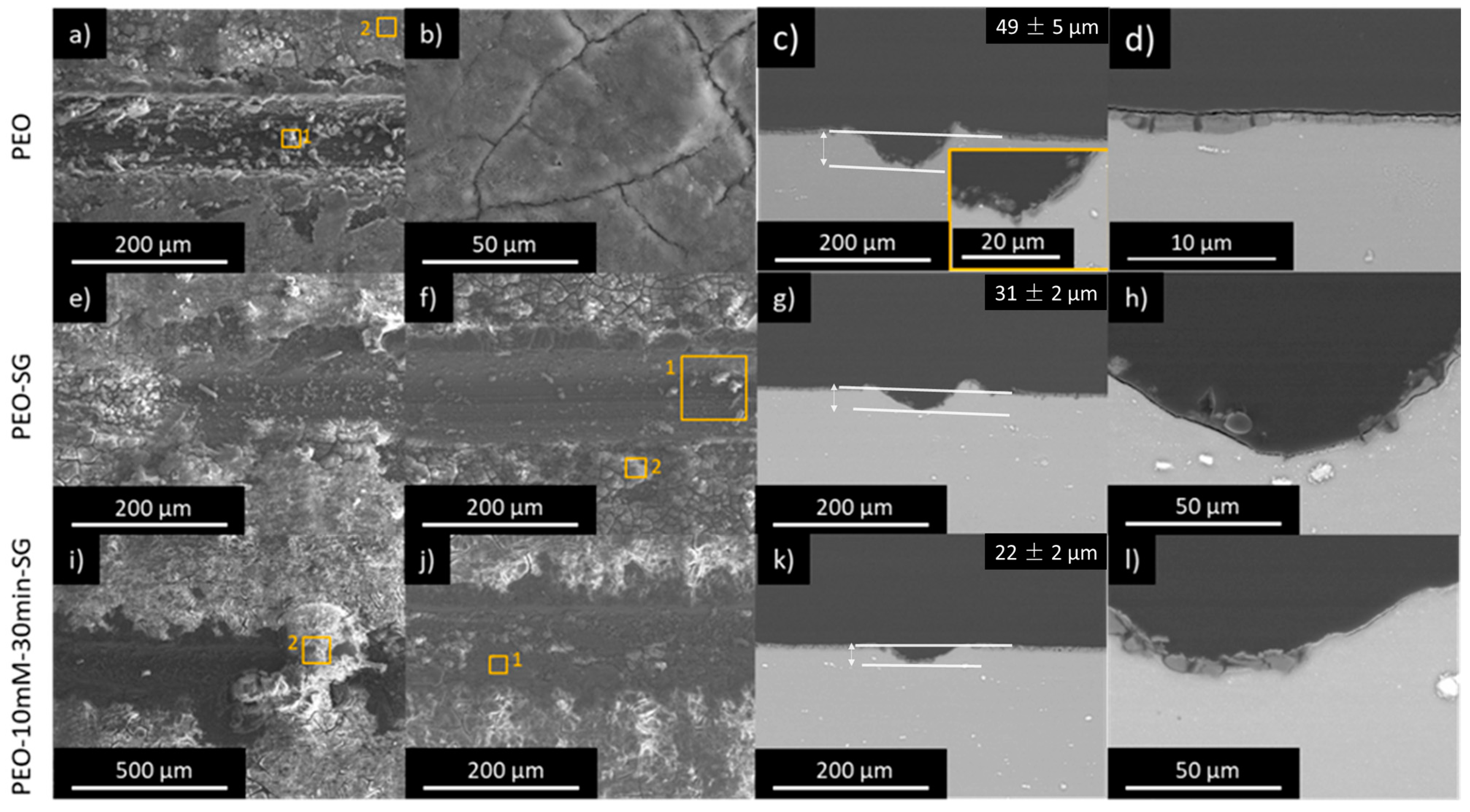 Coatings 14 00084 g007