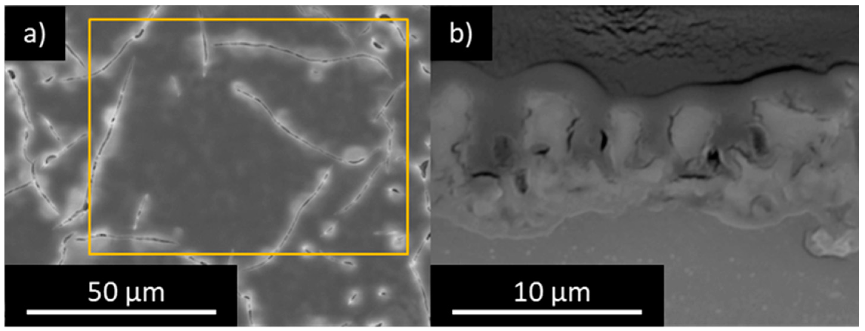 Coatings 14 00084 g012