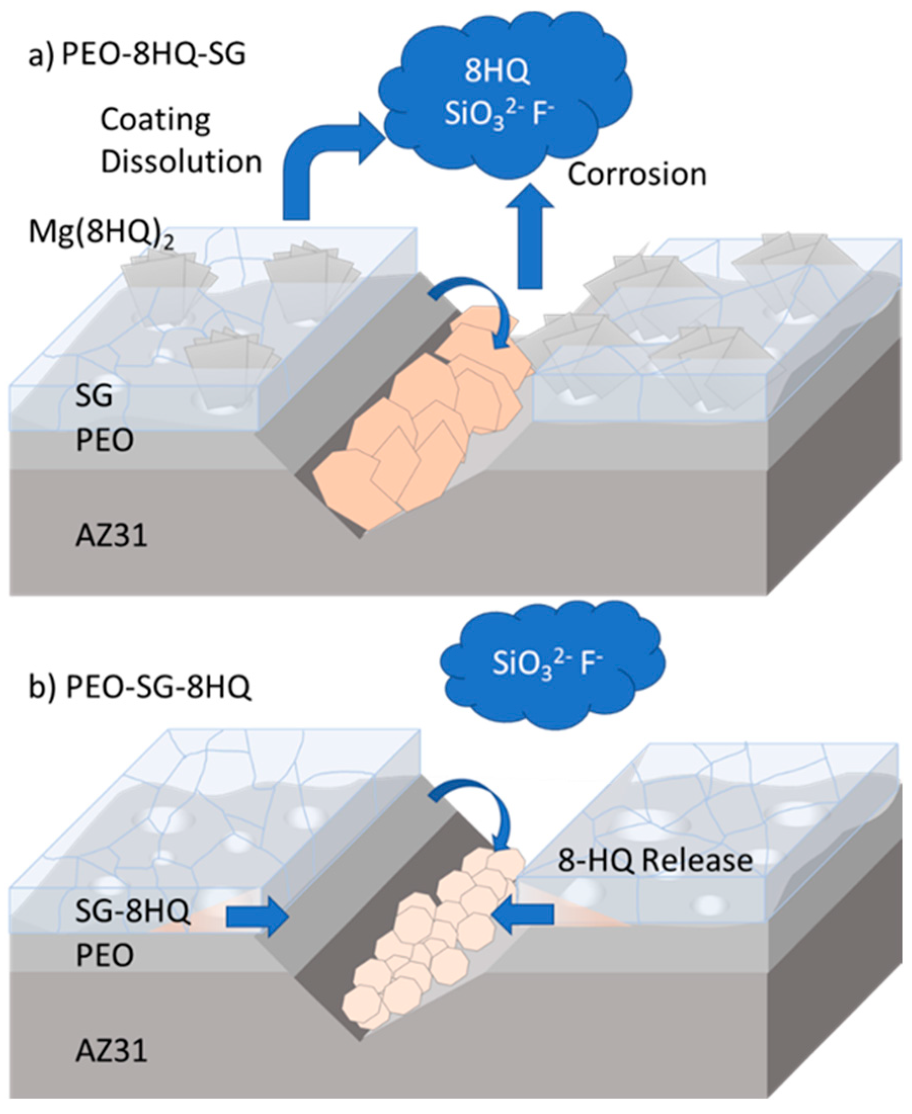 Coatings 14 00084 g015