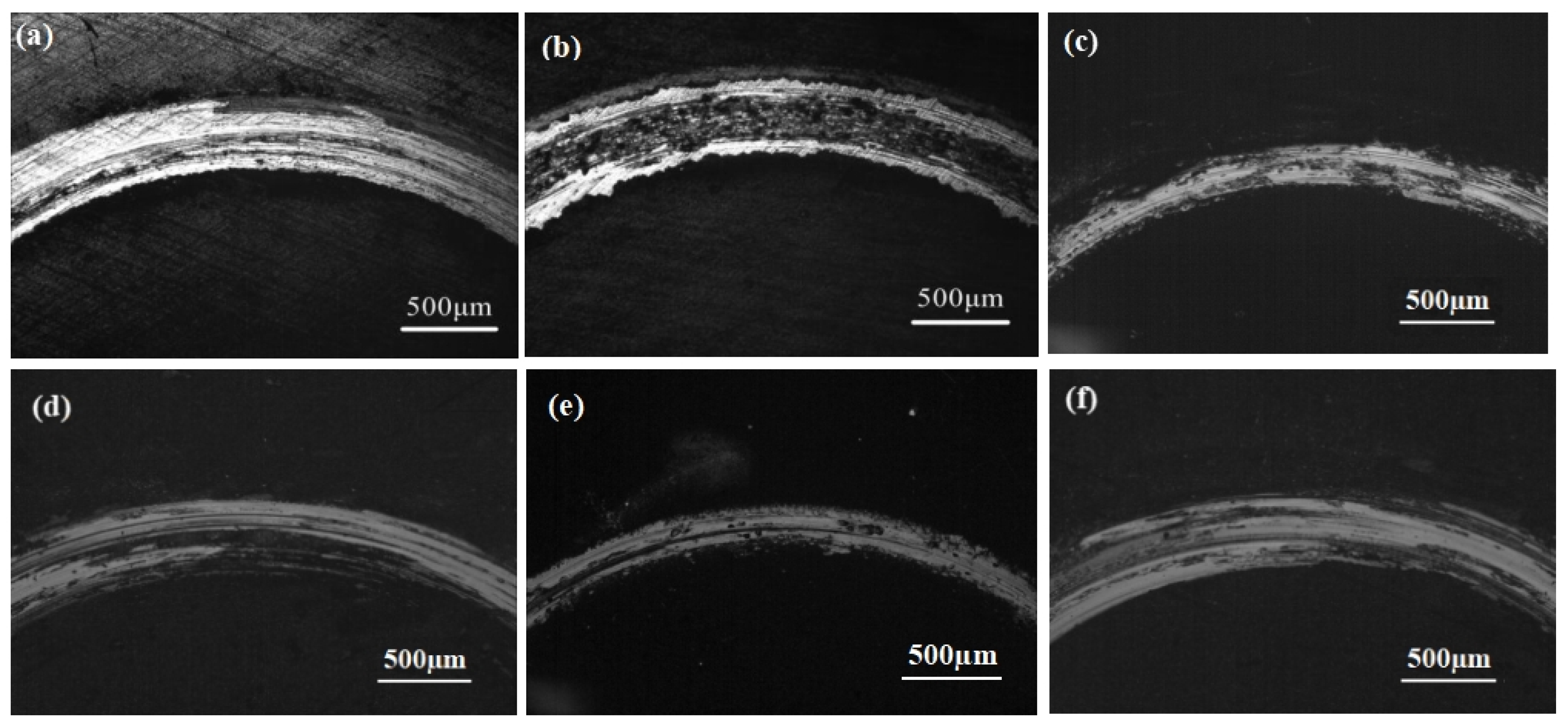 Coatings 14 00086 g006