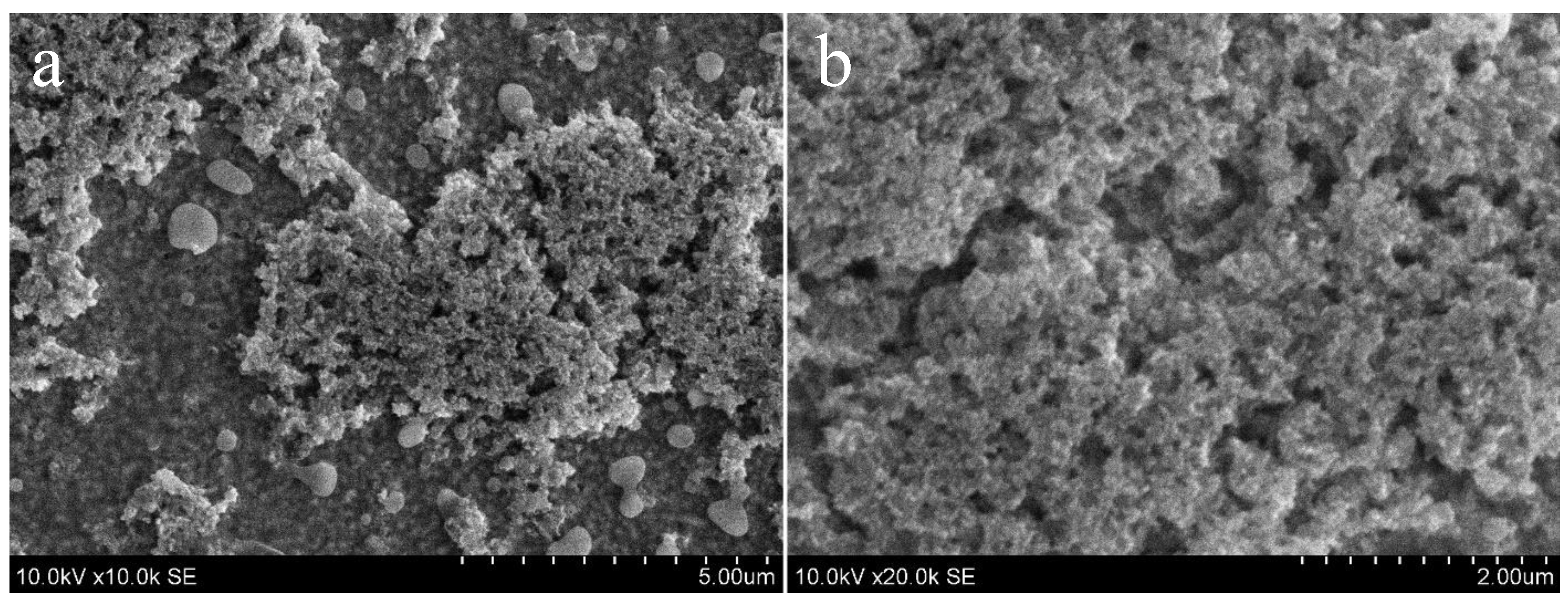 Coatings 14 00088 g006