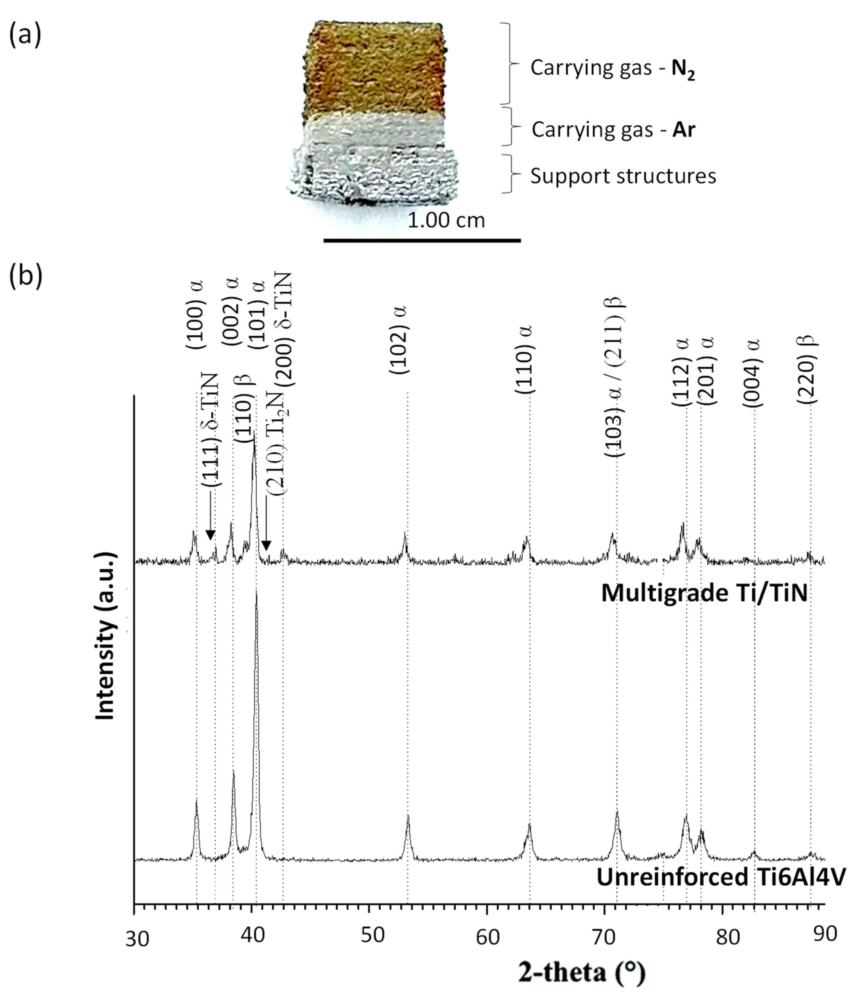 Coatings 14 00090 g001