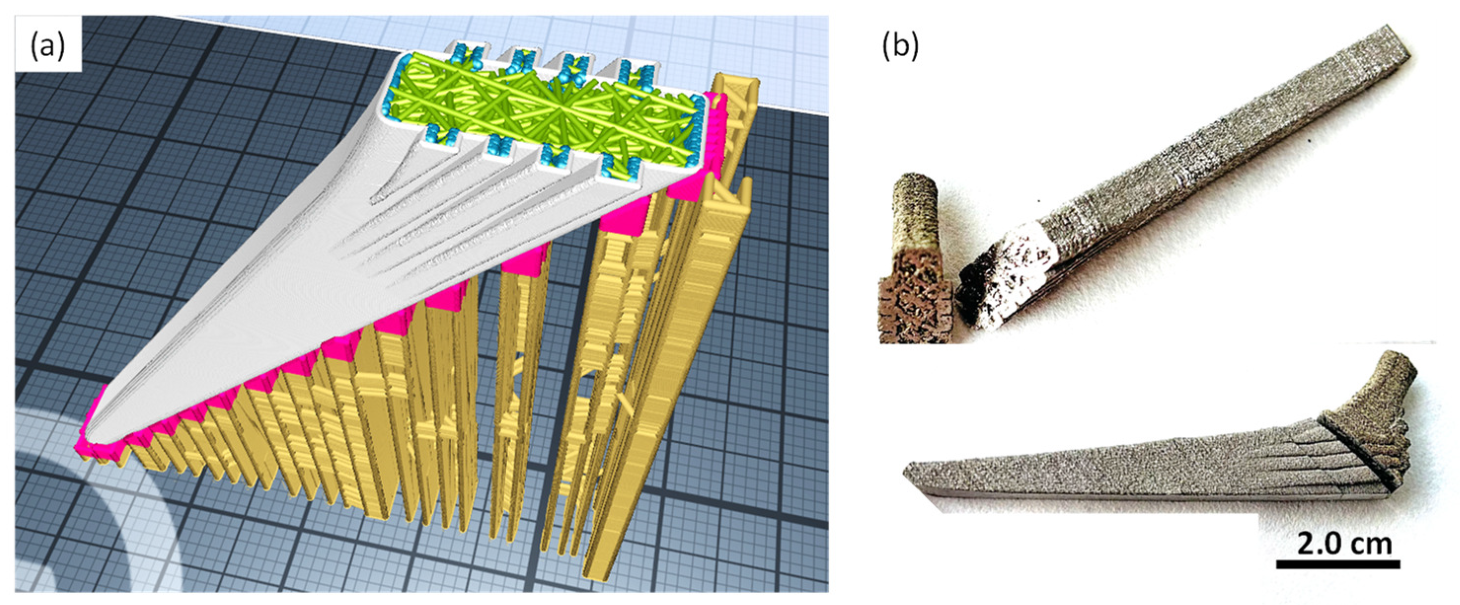 Coatings 14 00090 g007