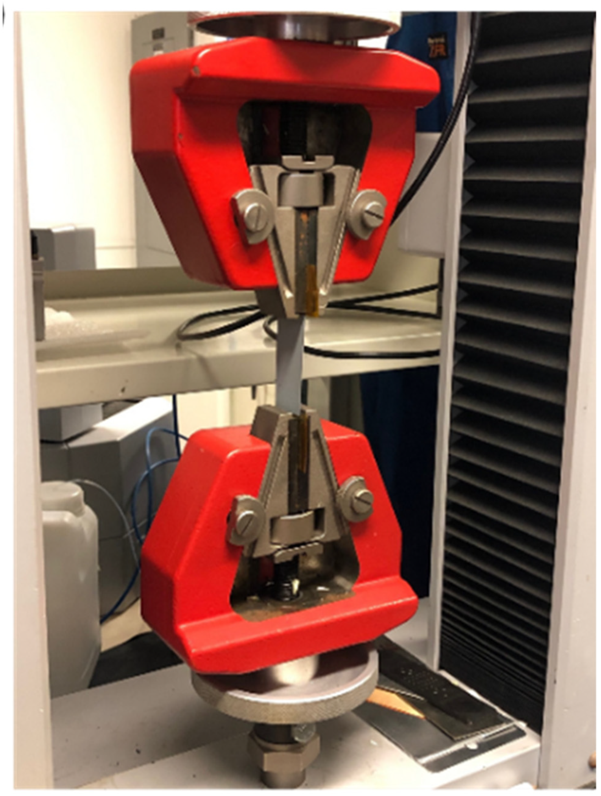 Coatings 14 00091 g003