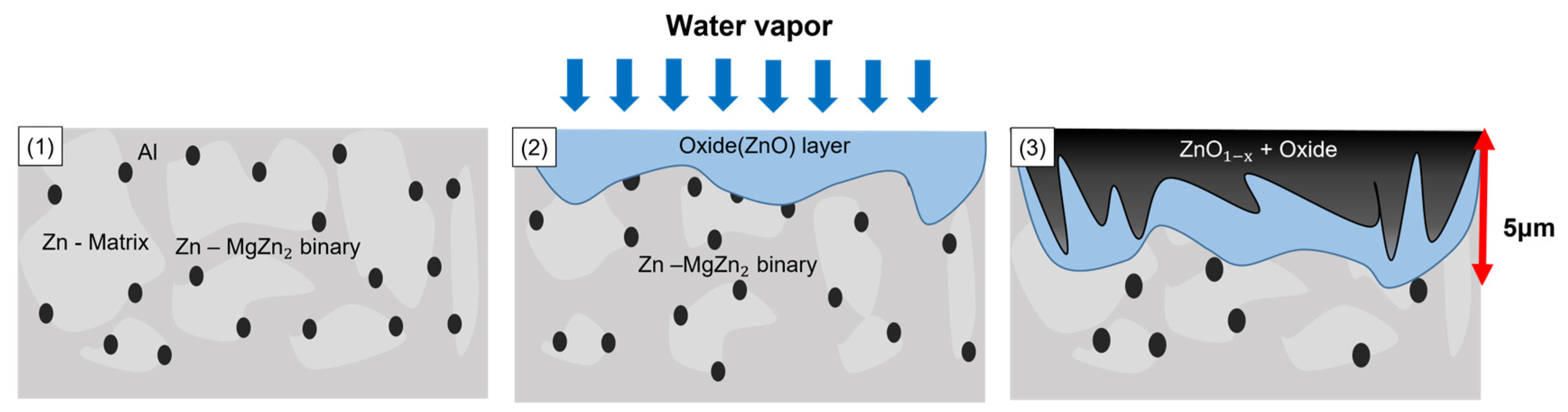 Coatings 14 00093 g014