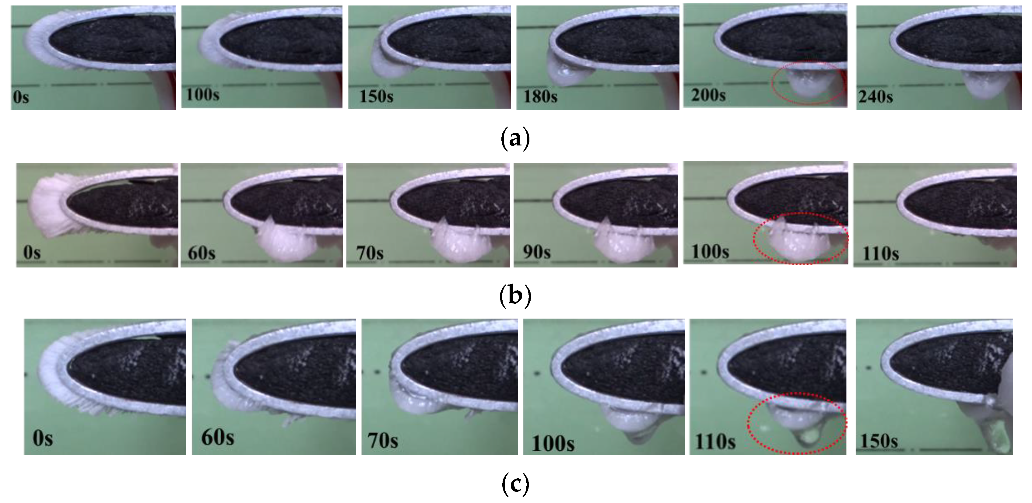 Coatings 14 00094 g010