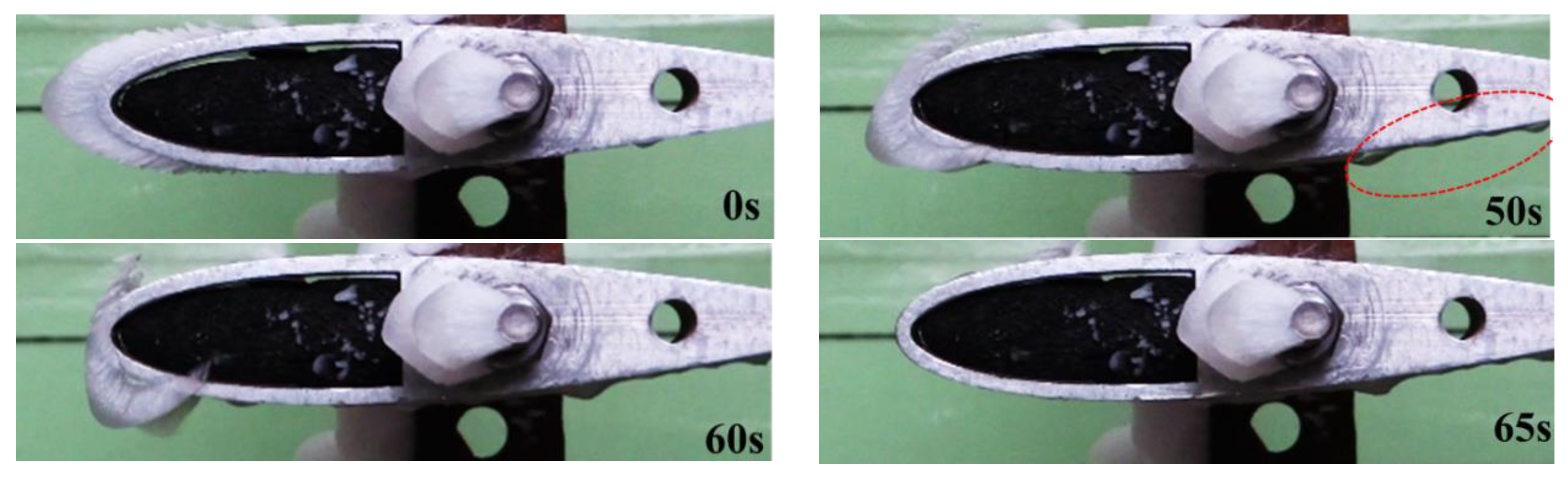 Coatings 14 00094 g011