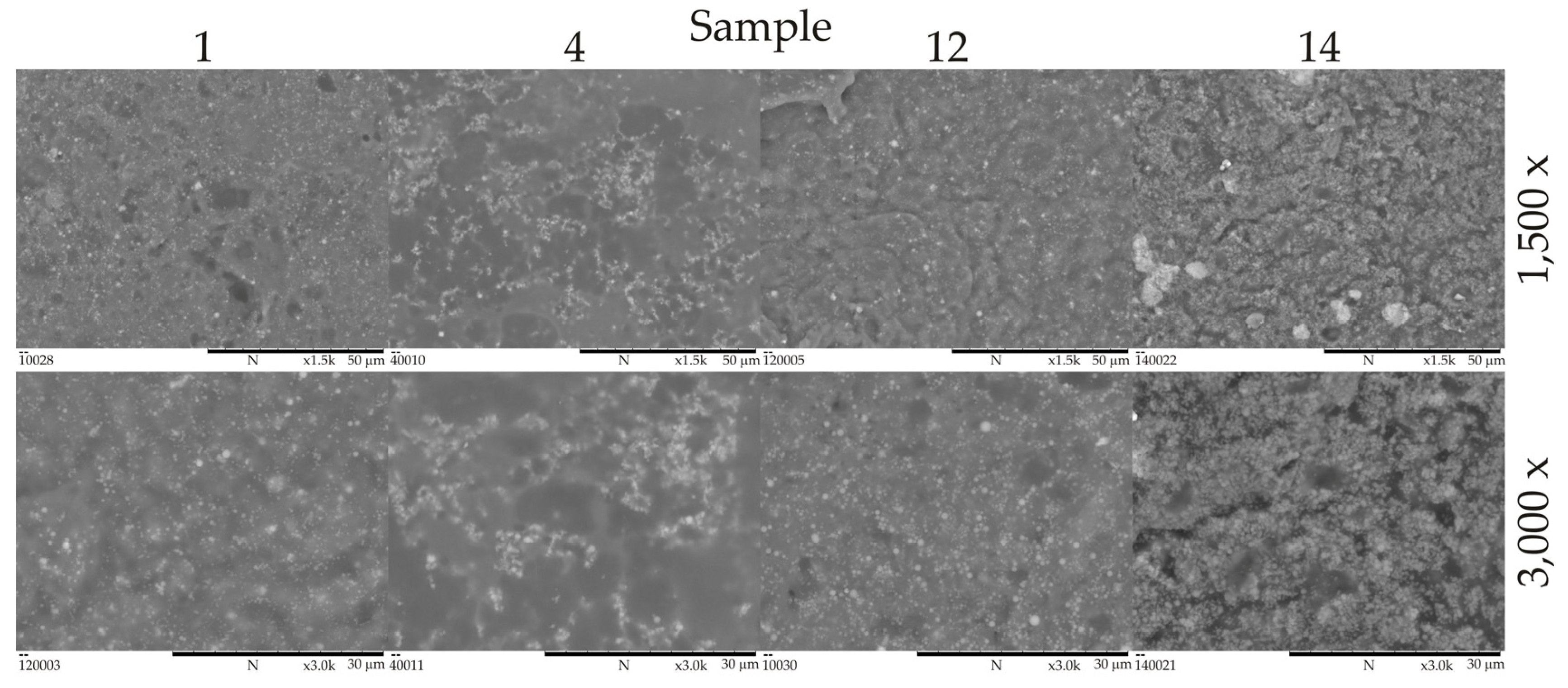 Coatings 14 00095 g003