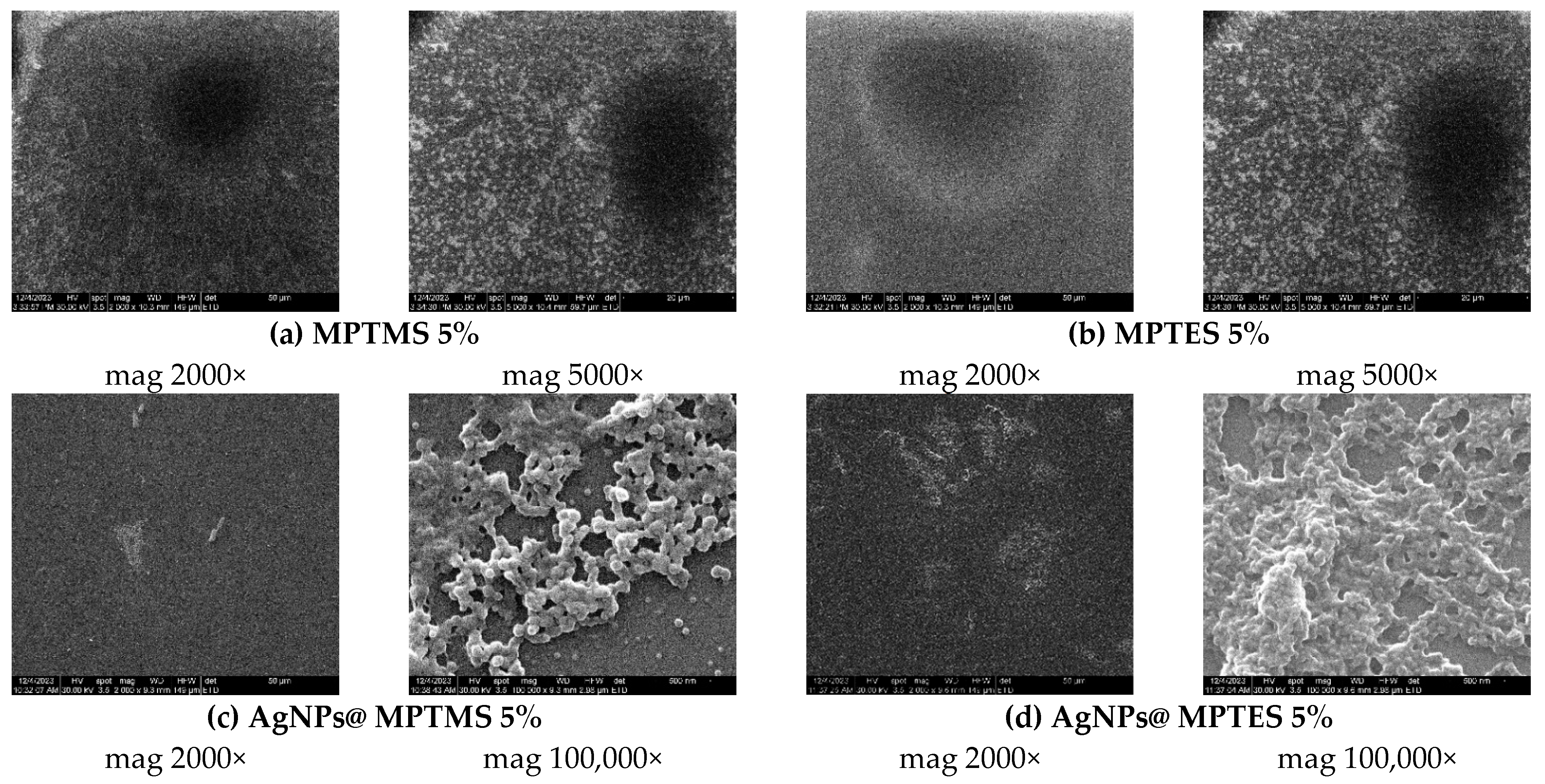 Coatings 14 00096 g010a