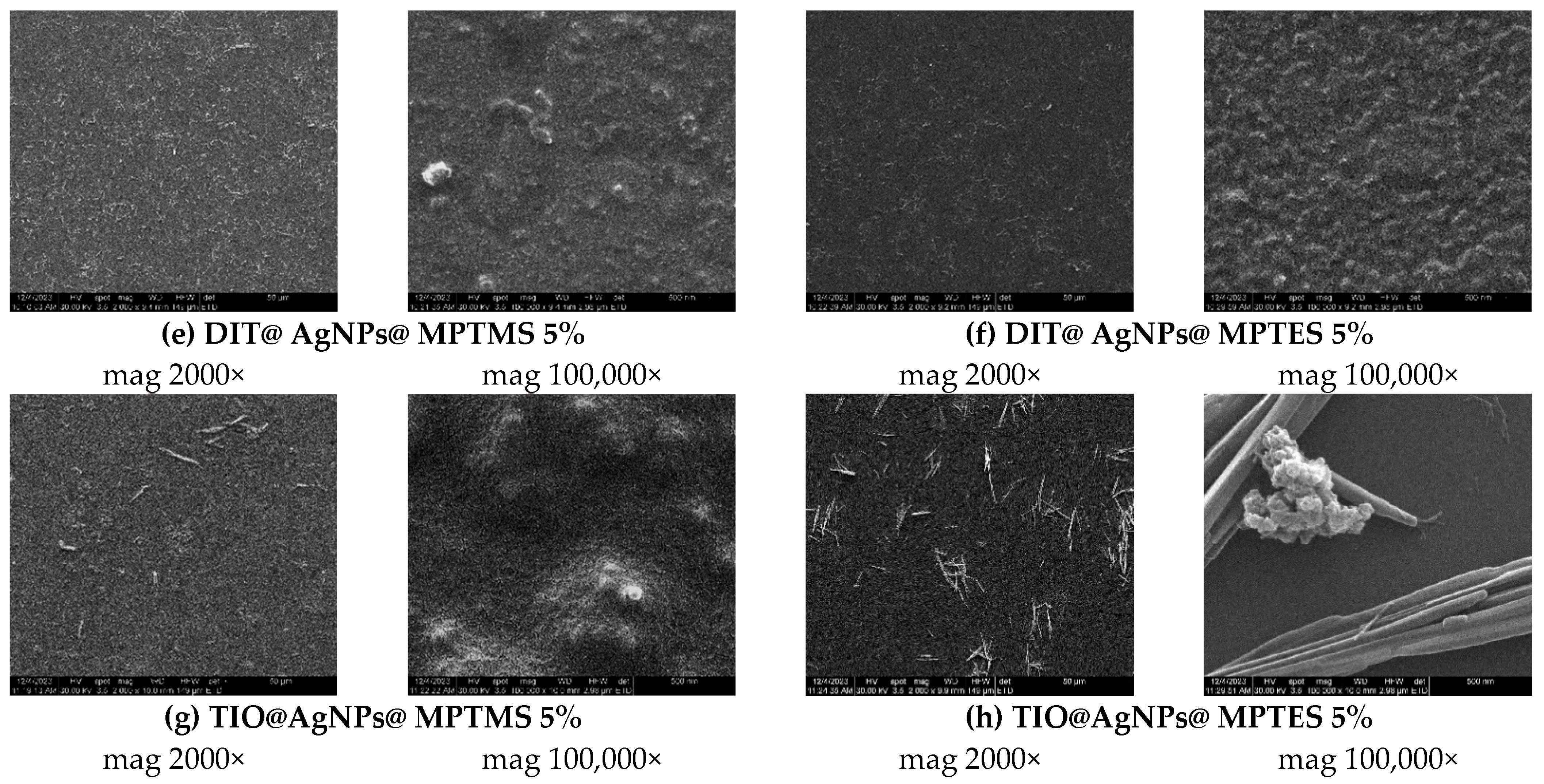 Coatings 14 00096 g010b