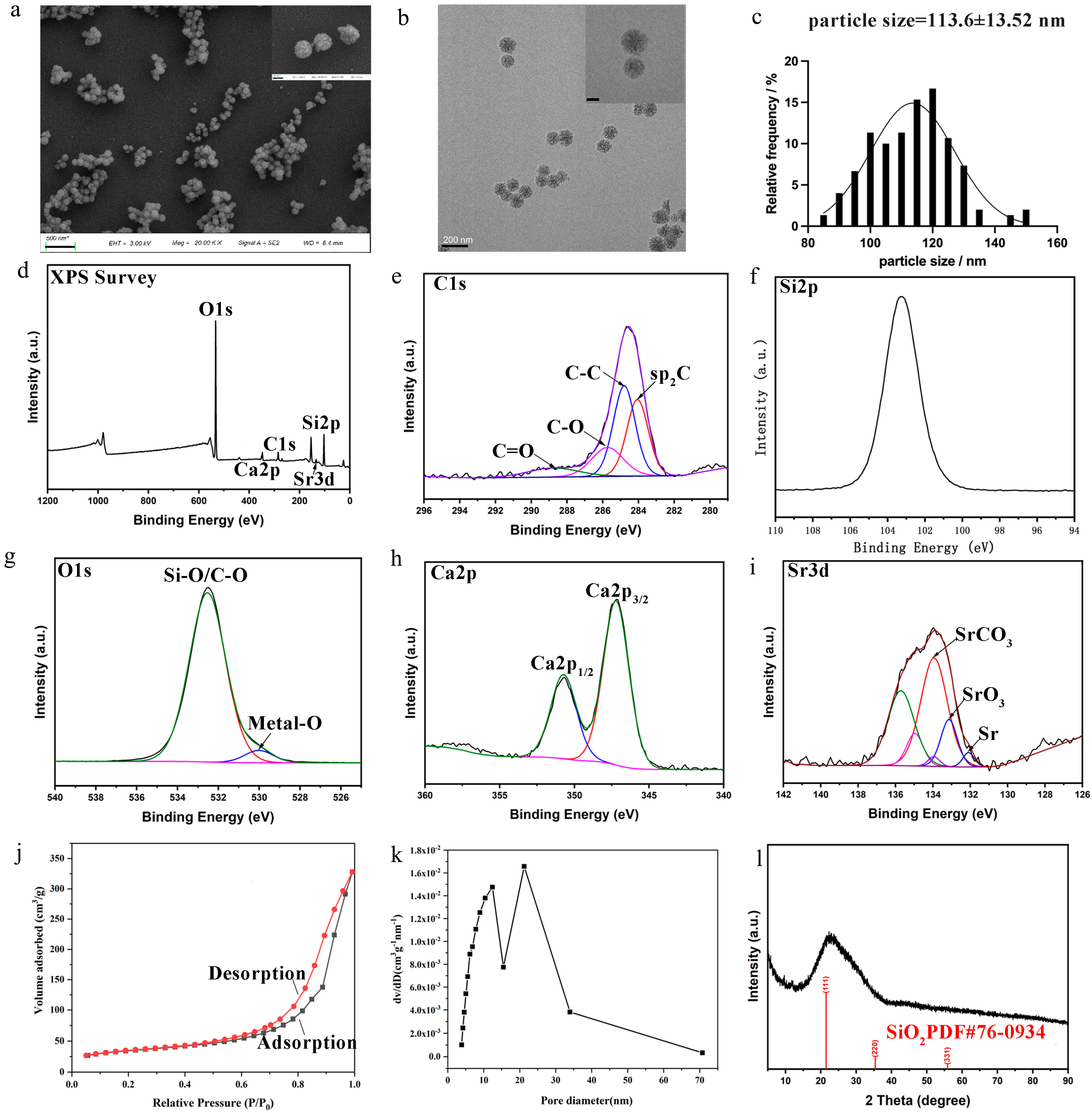 Coatings 14 00097 g001