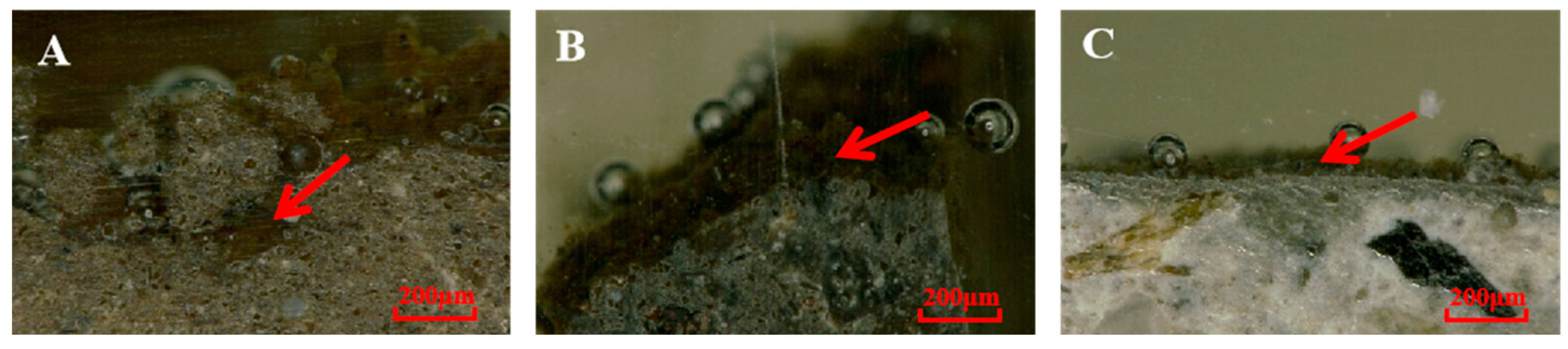 Coatings 14 00100 g007