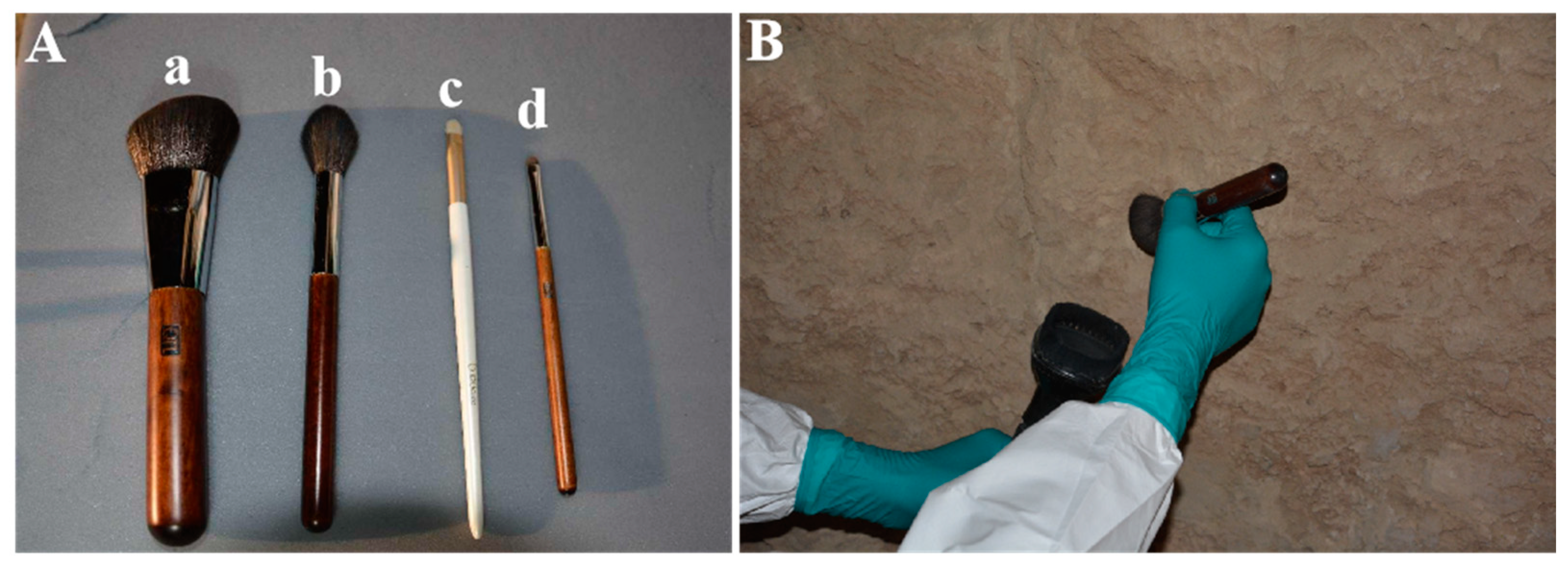 Coatings 14 00100 g008