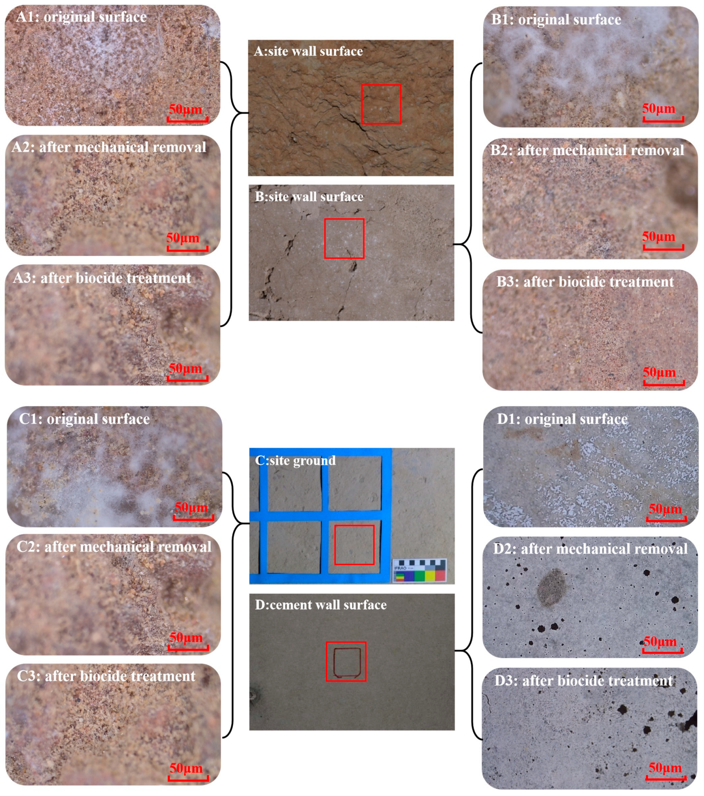 Coatings 14 00100 g009