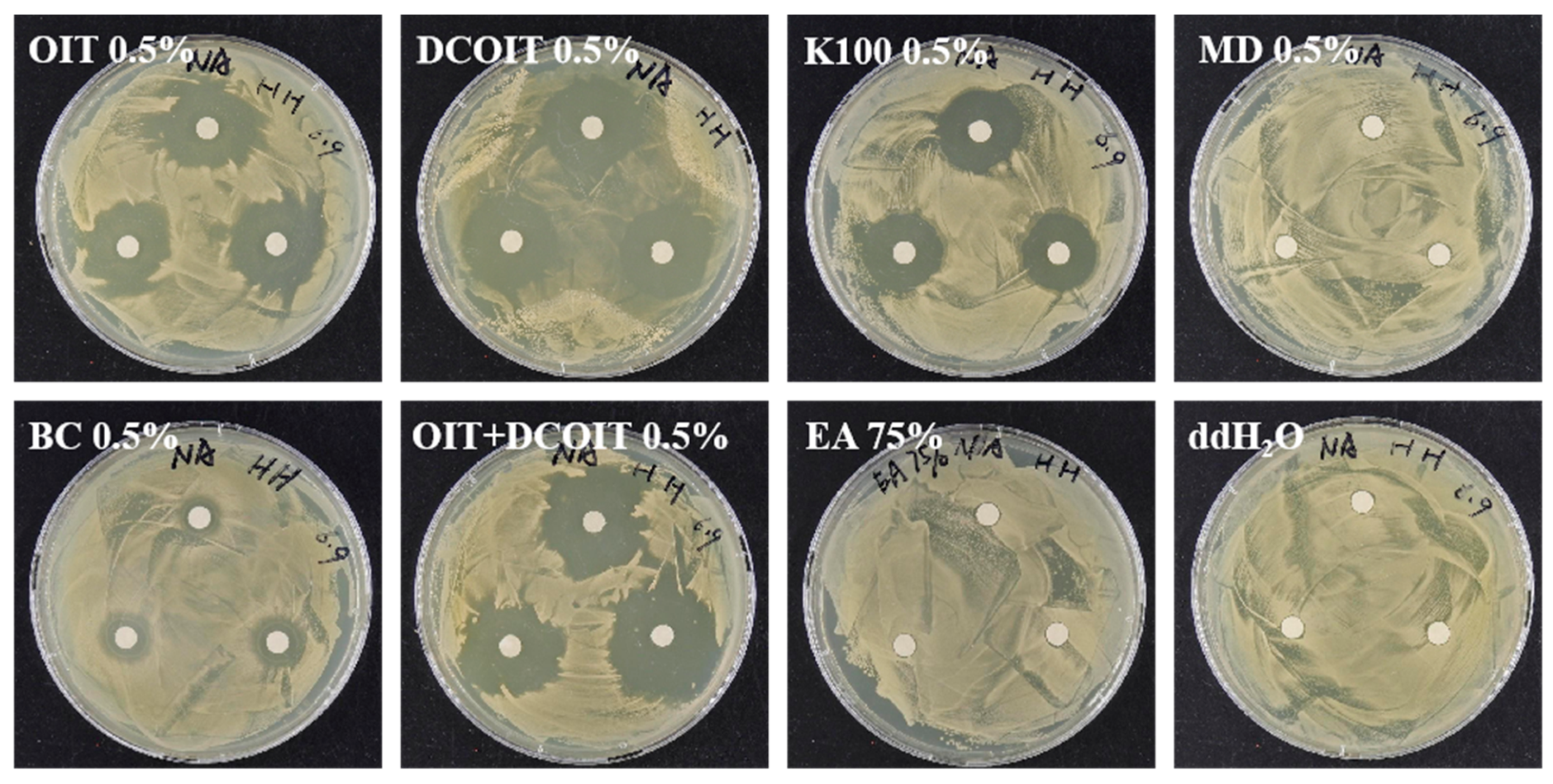 Coatings 14 00100 g010