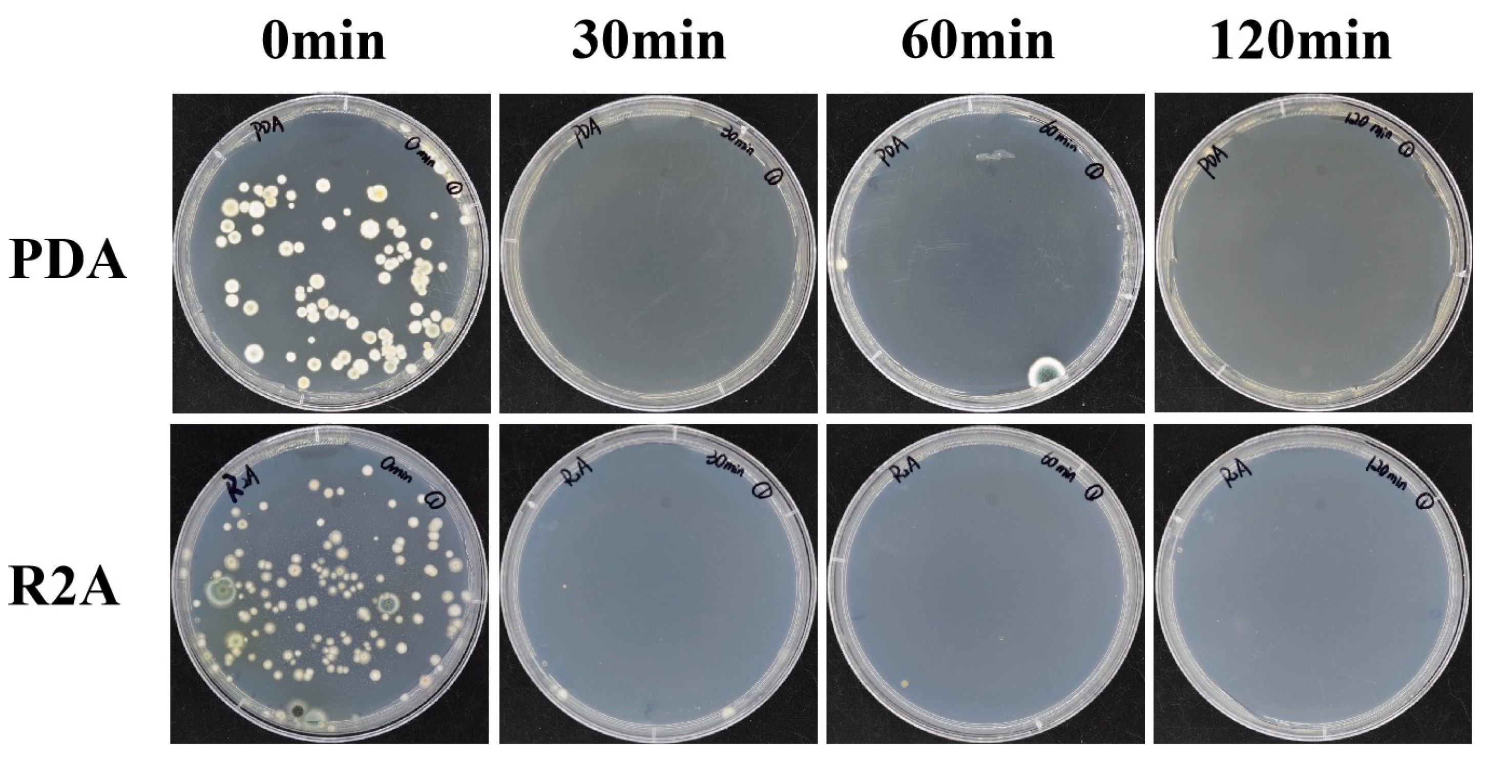 Coatings 14 00100 g012