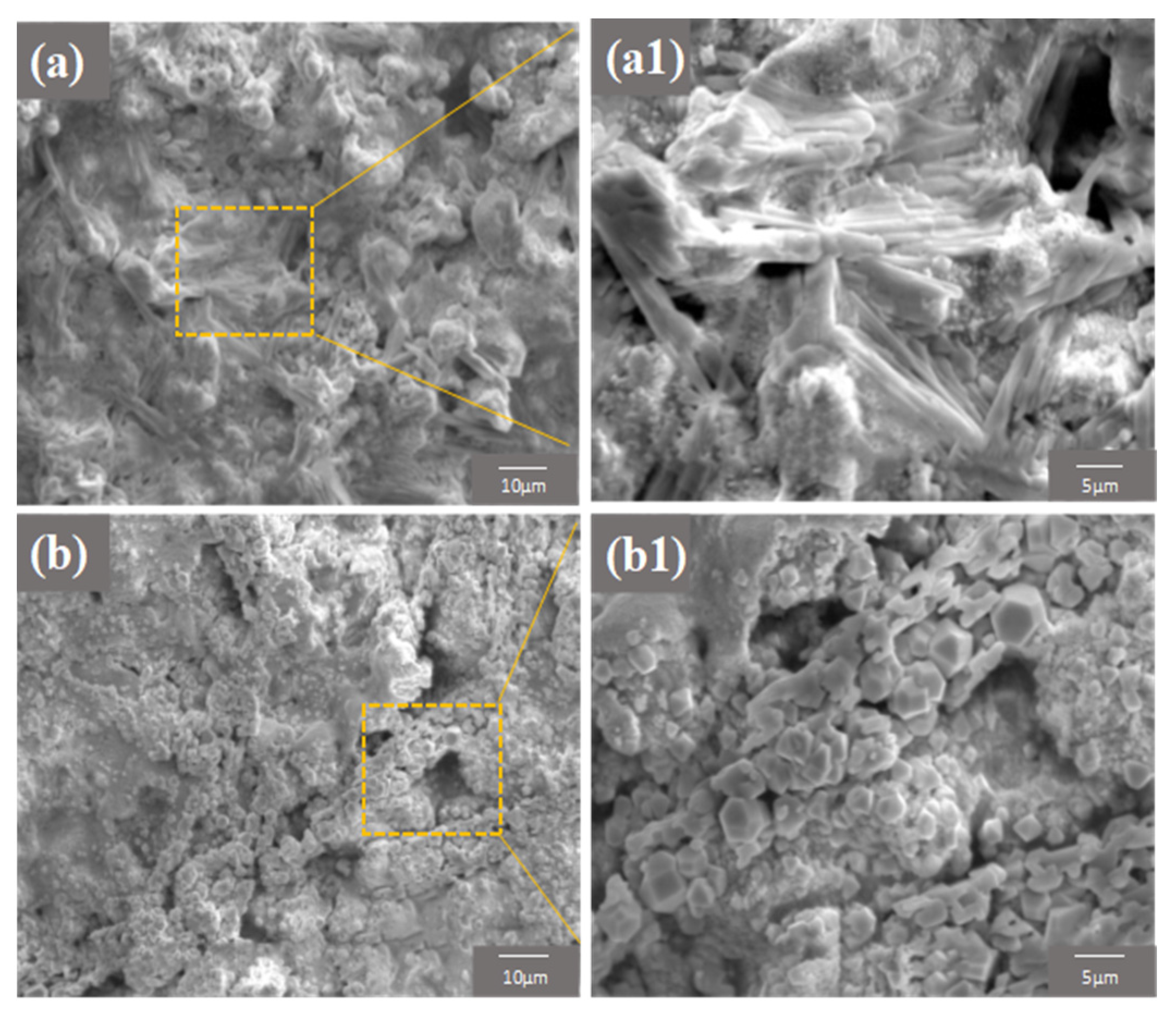 Coatings 14 00102 g009