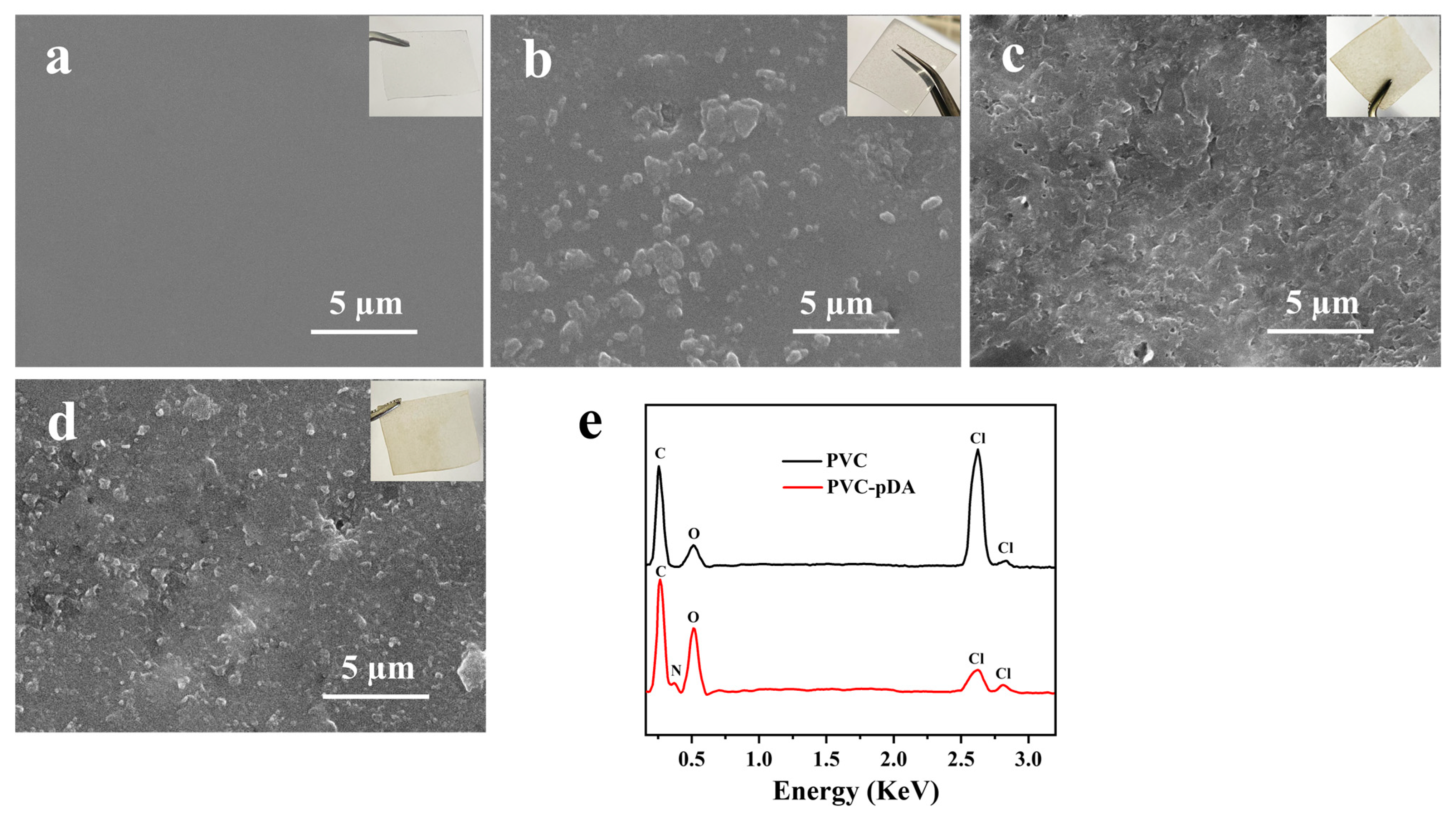 Coatings 14 00103 g002