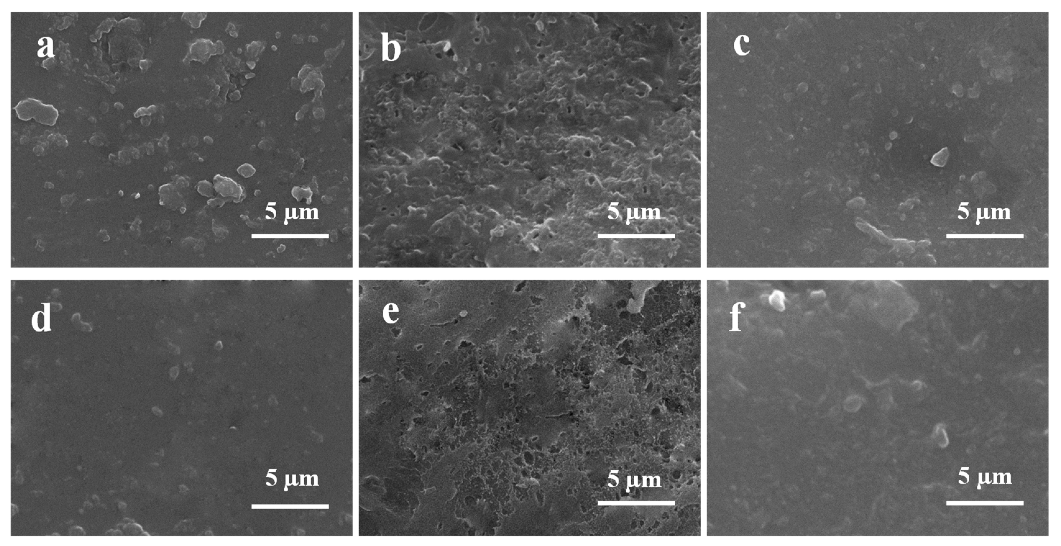 Coatings 14 00103 g006