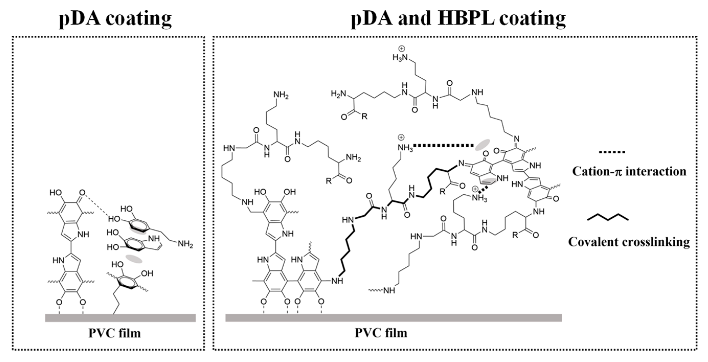 Coatings 14 00103 g010