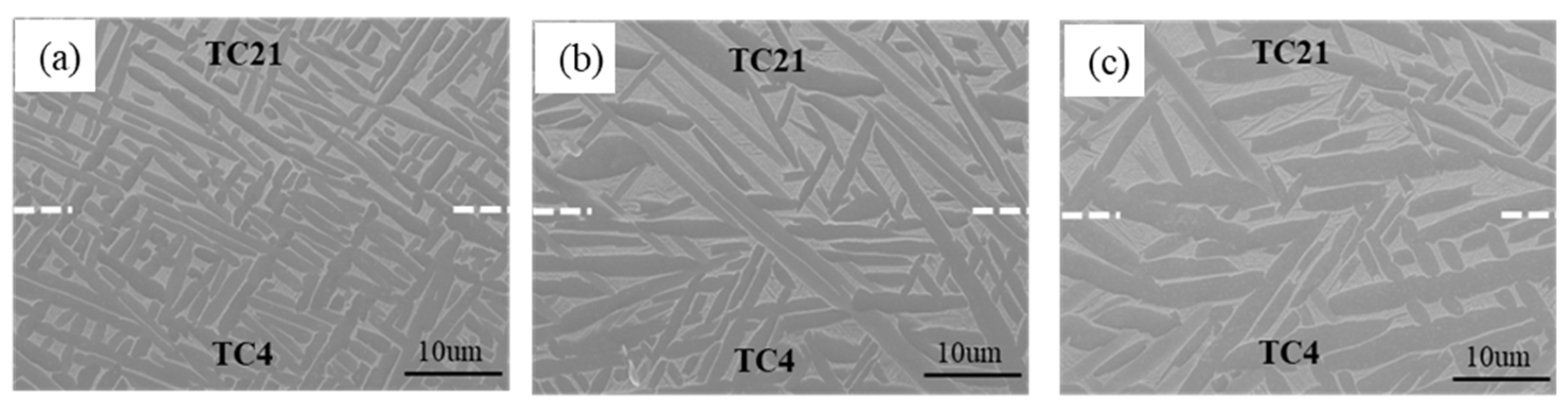 Coatings 14 00104 g007 Coatings 14 00104 g007