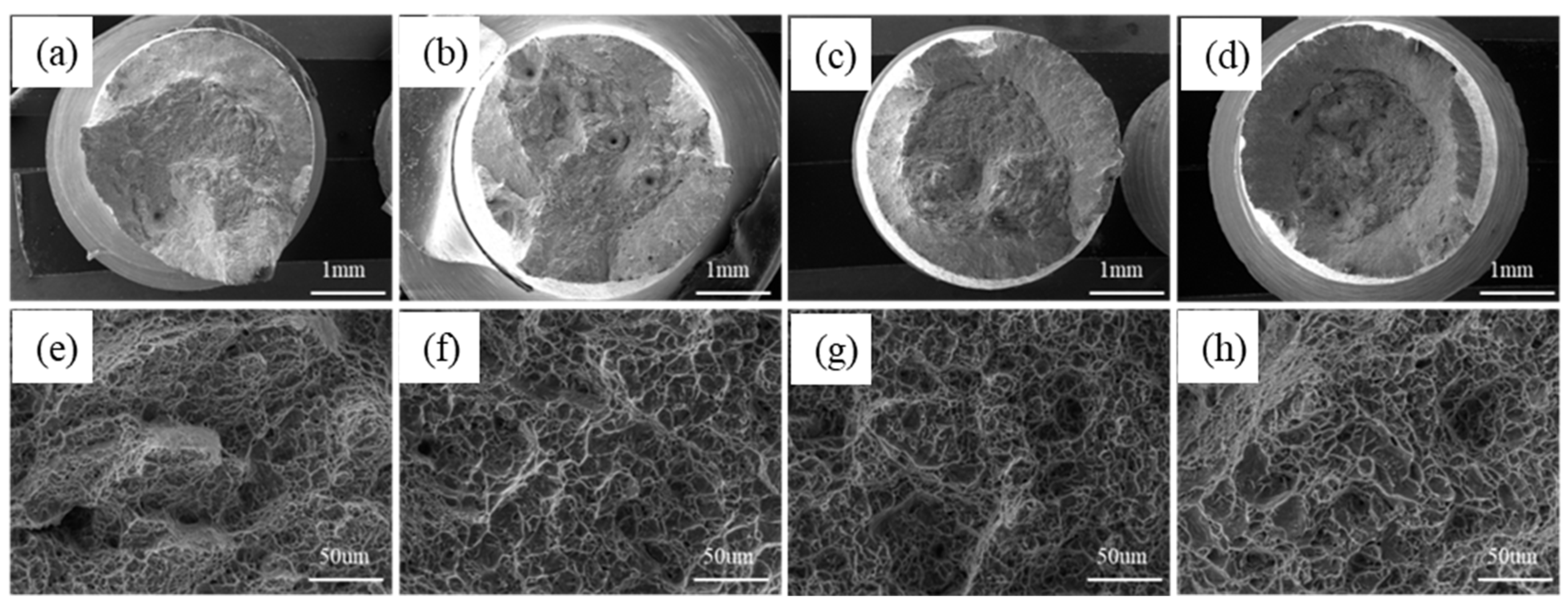Coatings 14 00104 g011 Coatings 14 00104 g011