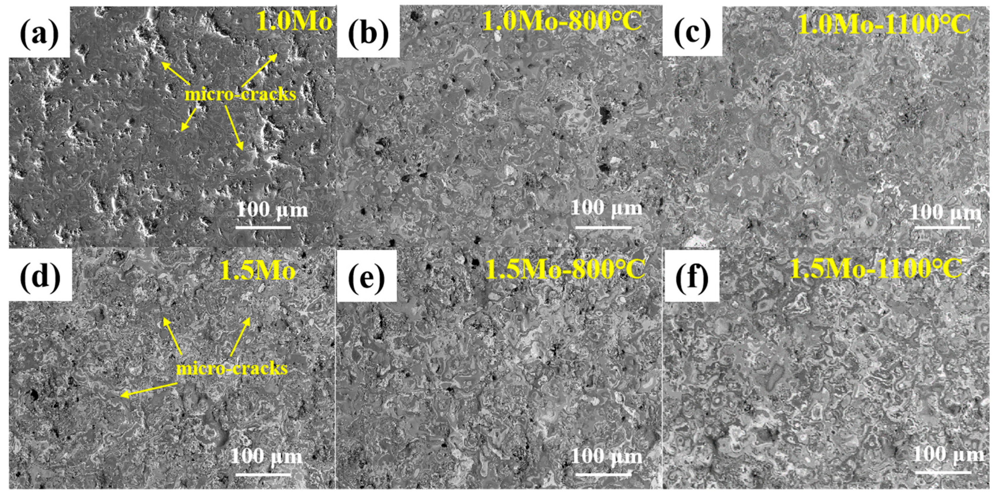 Coatings 14 00109 g002