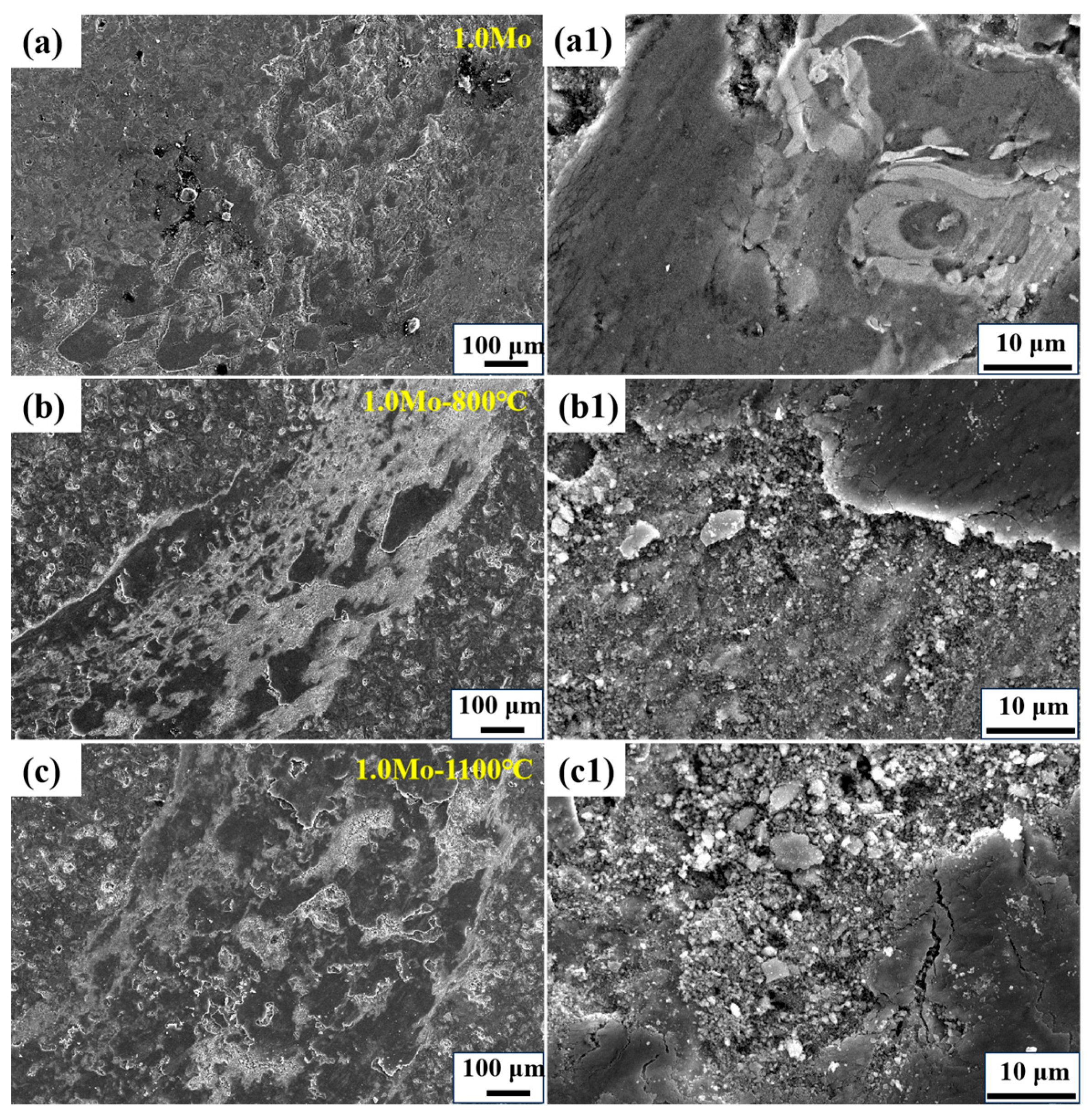 Coatings 14 00109 g007
