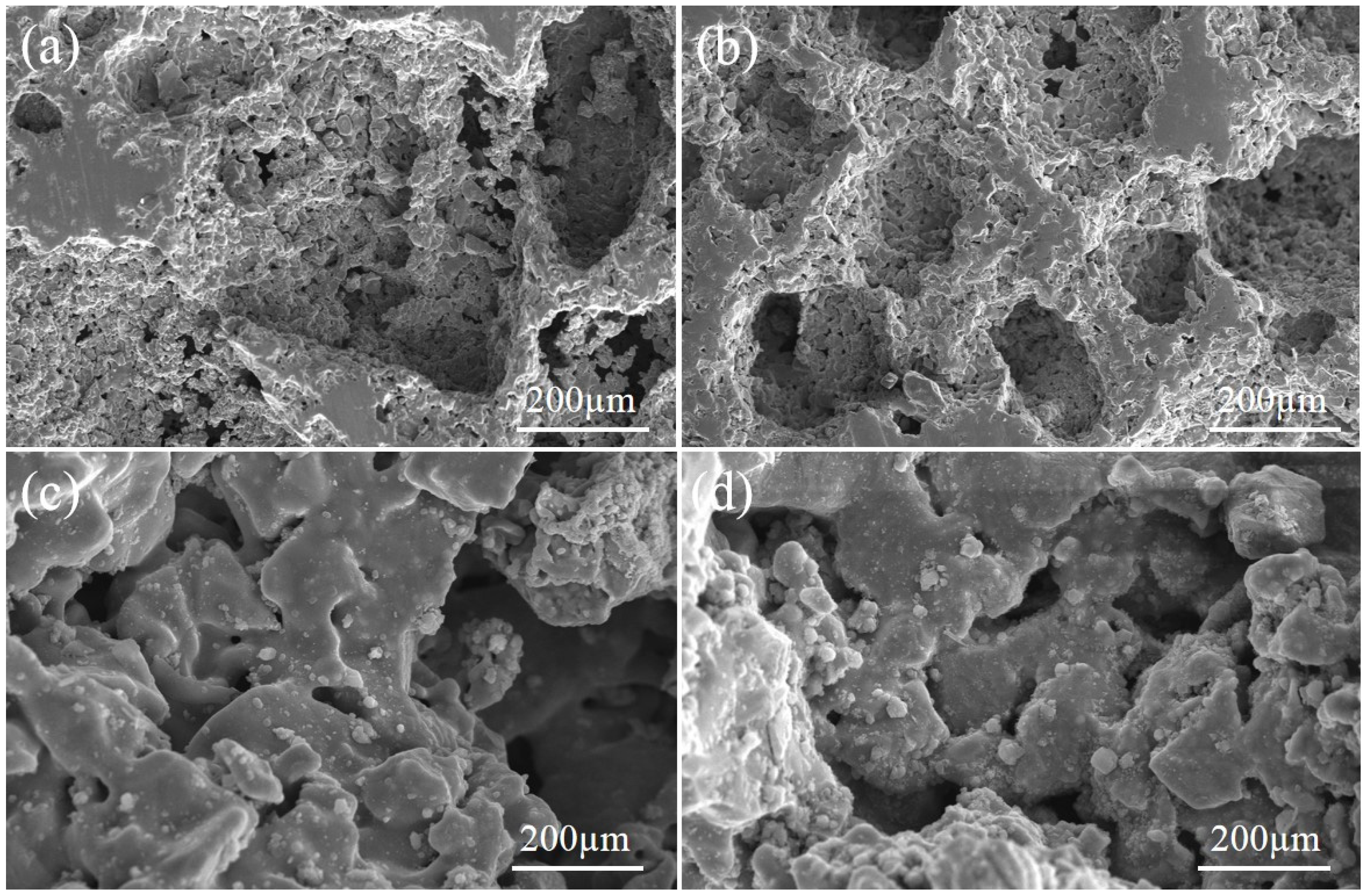 Coatings 14 00111 g002
