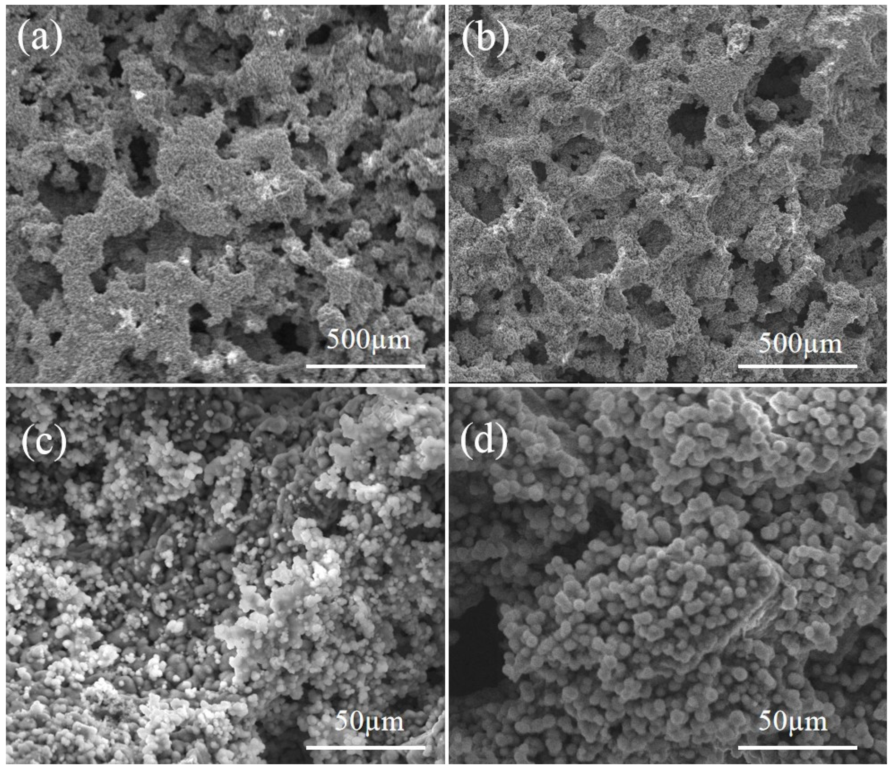 Coatings 14 00111 g006