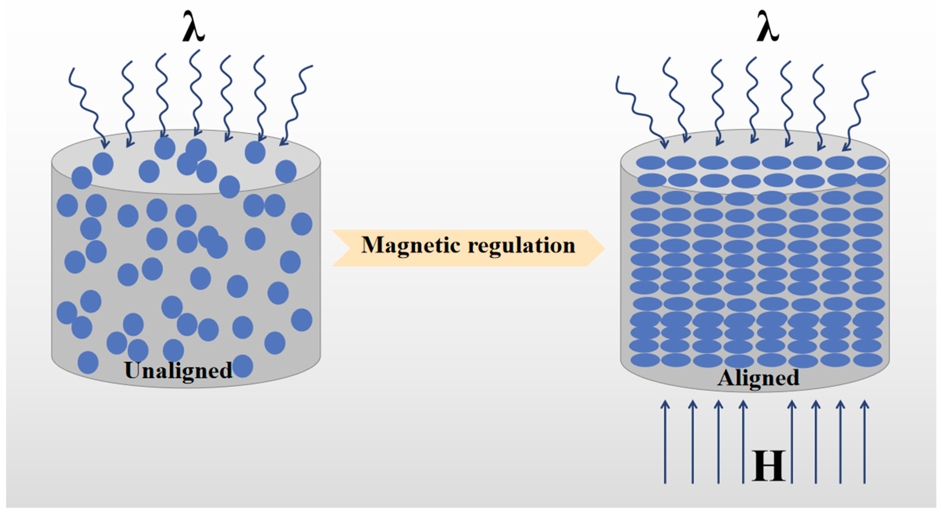 Coatings 14 00112 g002