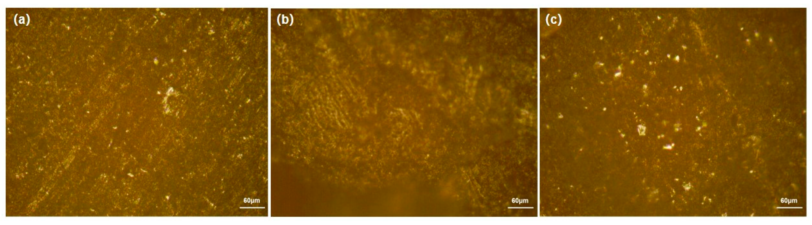 Coatings 14 00112 g010