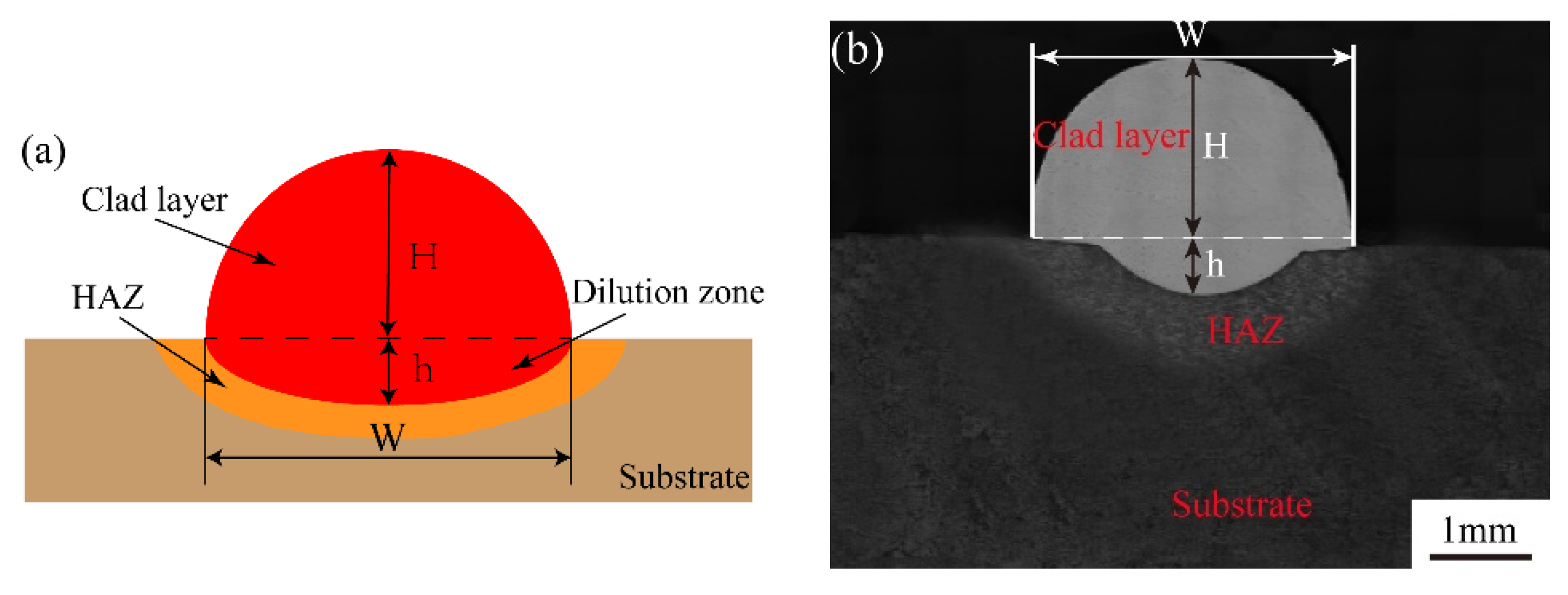 Coatings 14 00113 g006