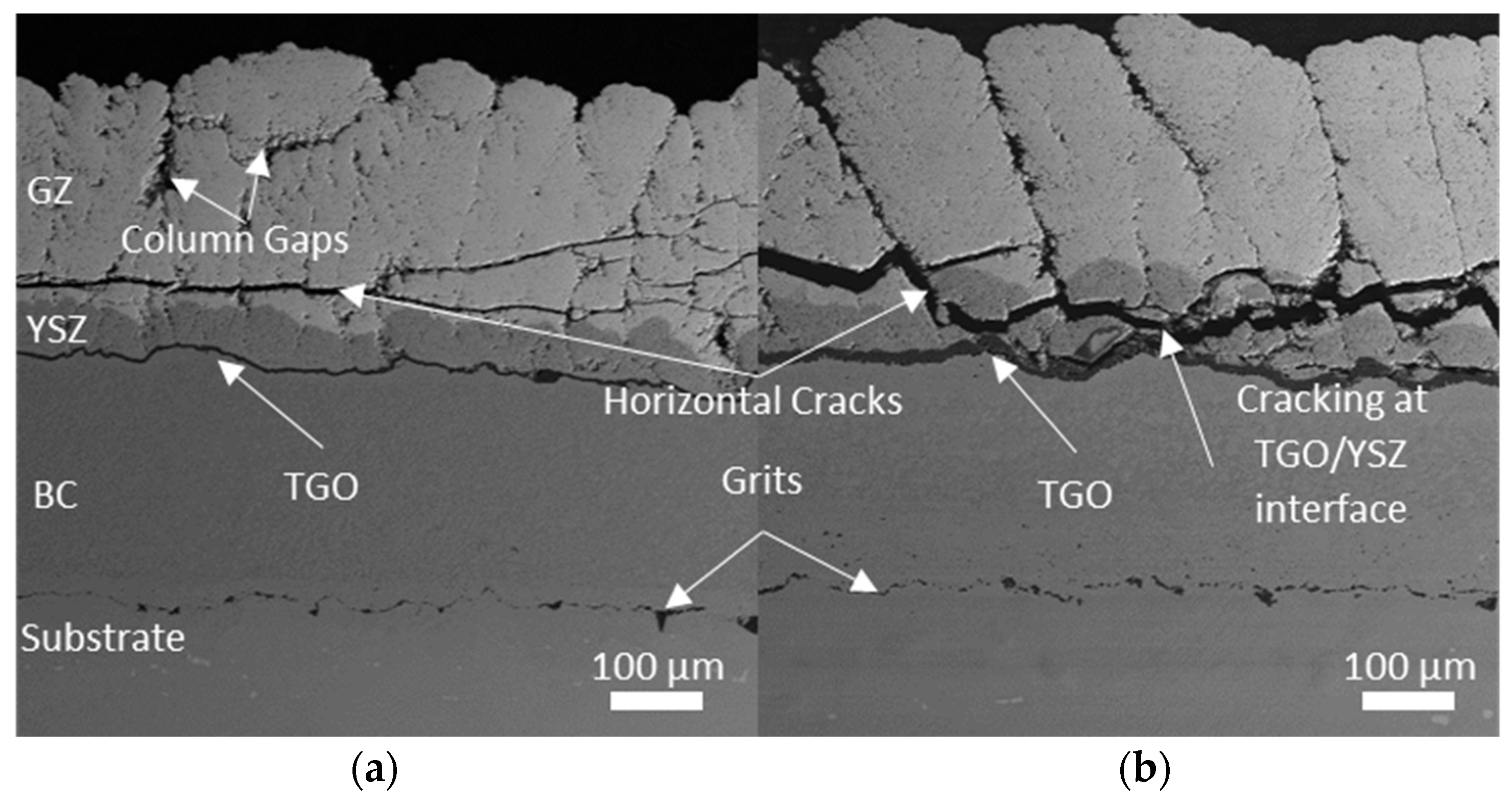 Coatings 14 00123 g001