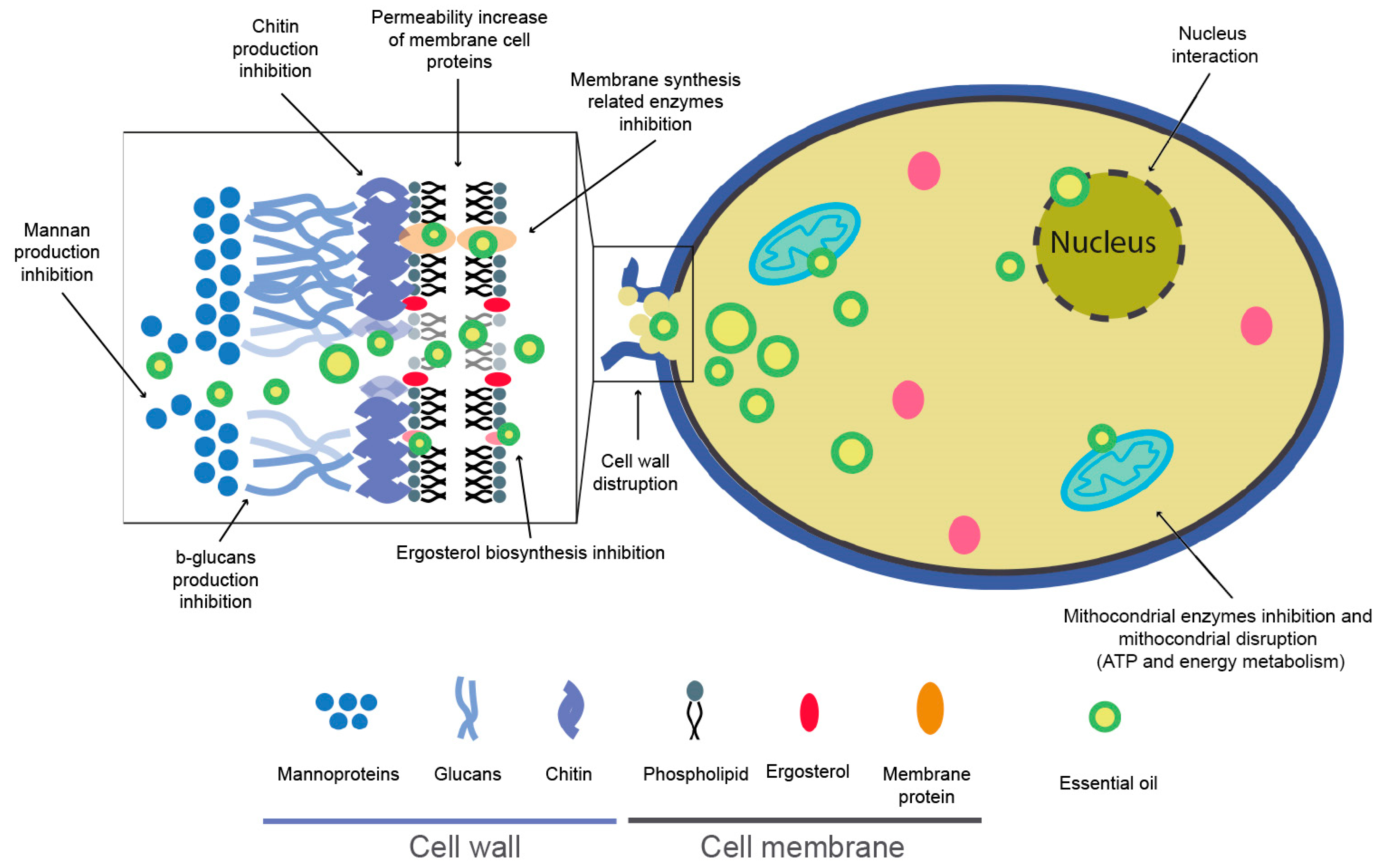 Coatings 14 00124 g006 Coatings 14 00124 g006