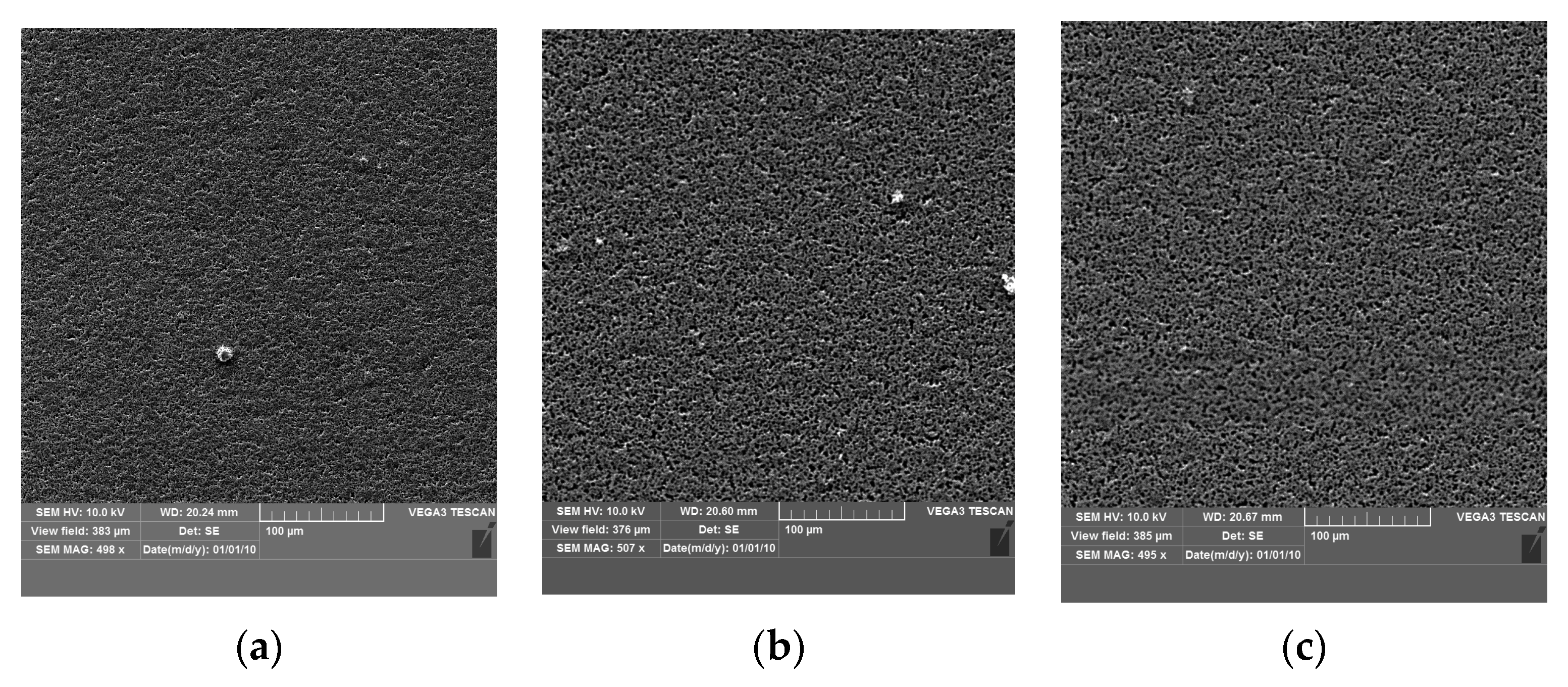 Coatings 14 00125 g009