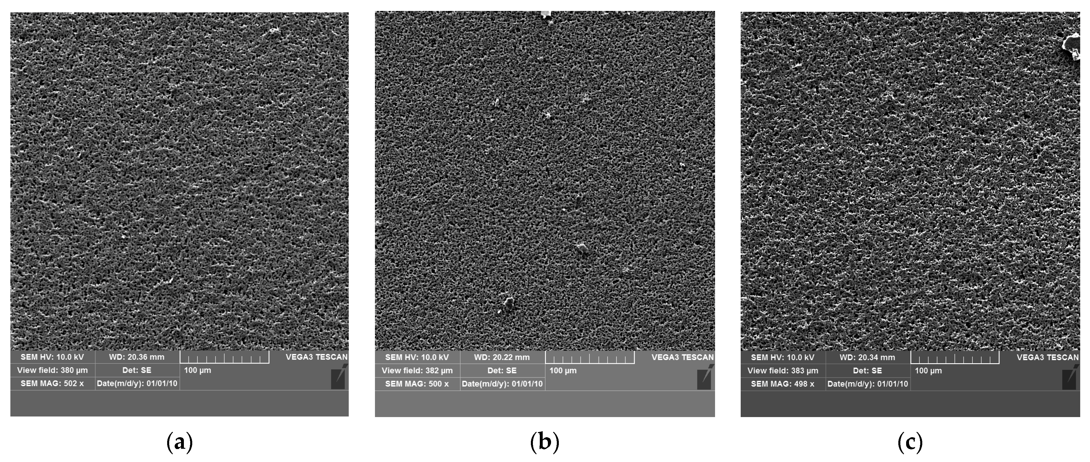 Coatings 14 00125 g010