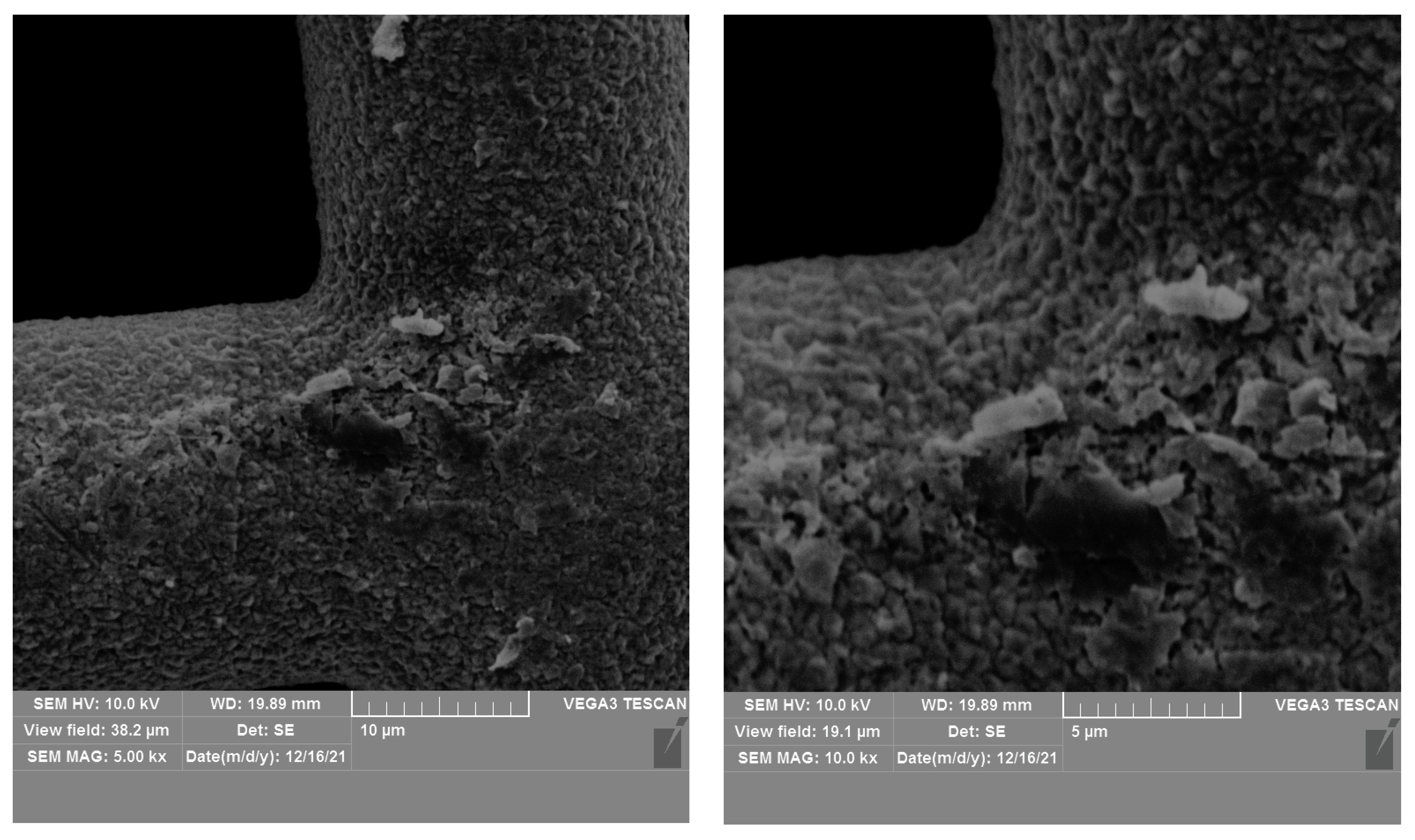 Coatings 14 00125 g015