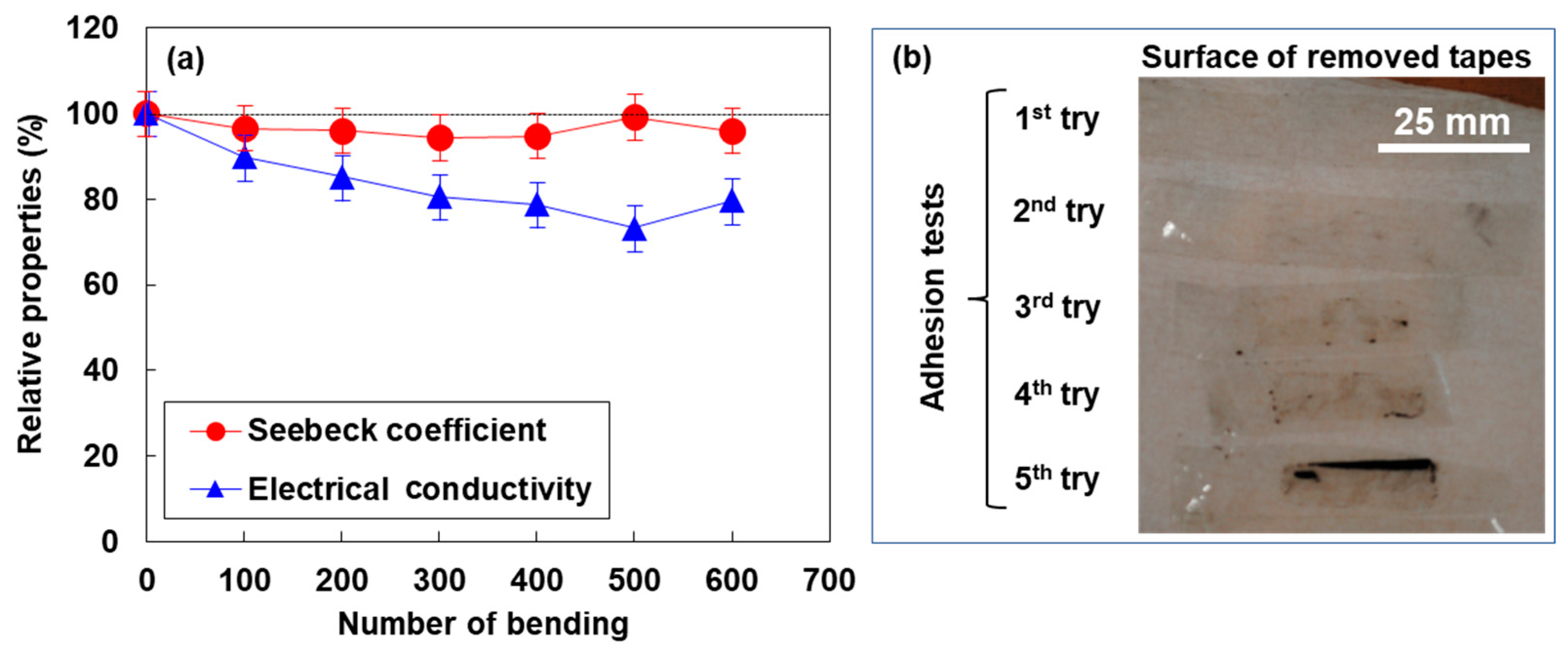 Coatings 14 00126 g003