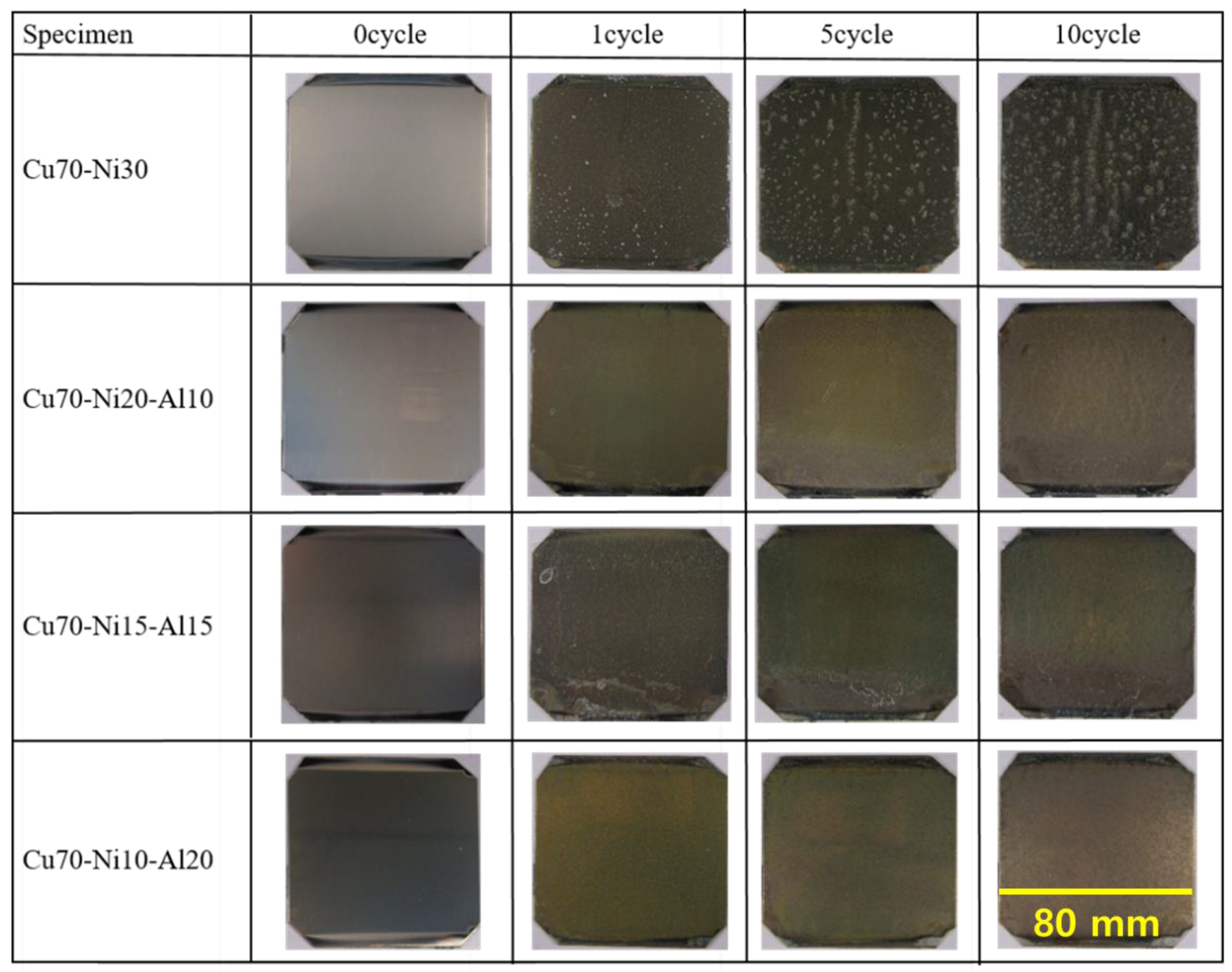Coatings 14 00132 g005