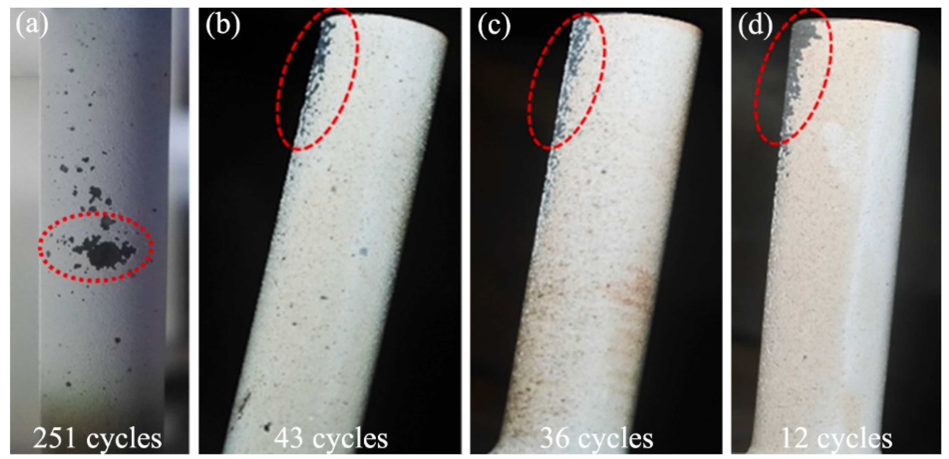 Coatings 14 00136 g009