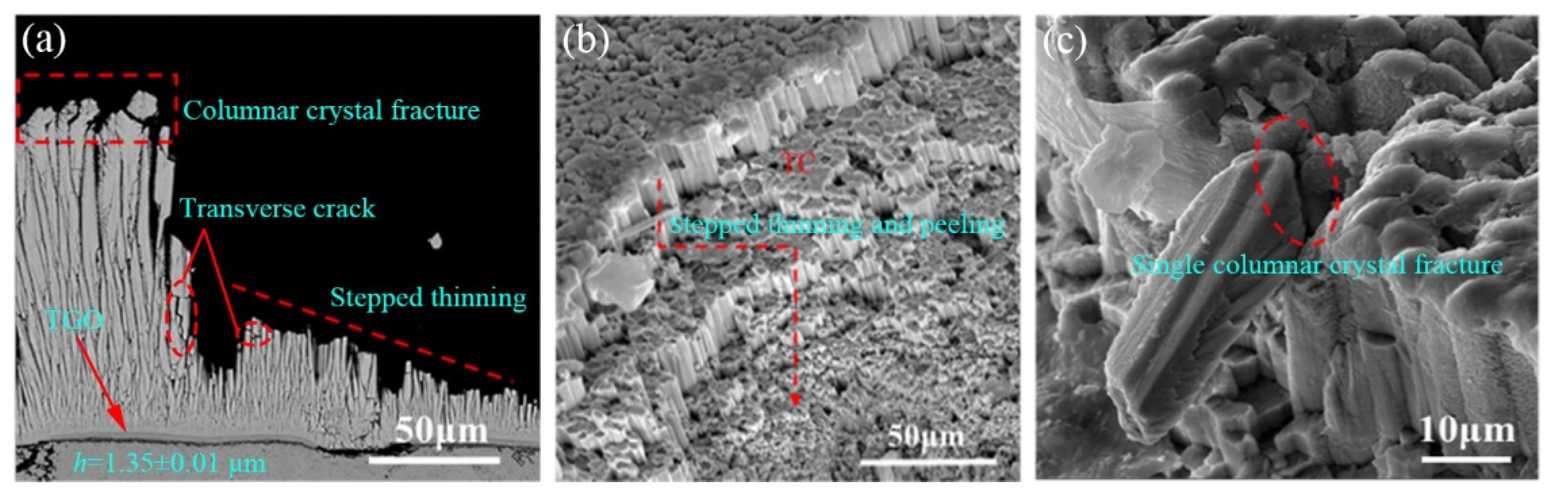 Coatings 14 00136 g011