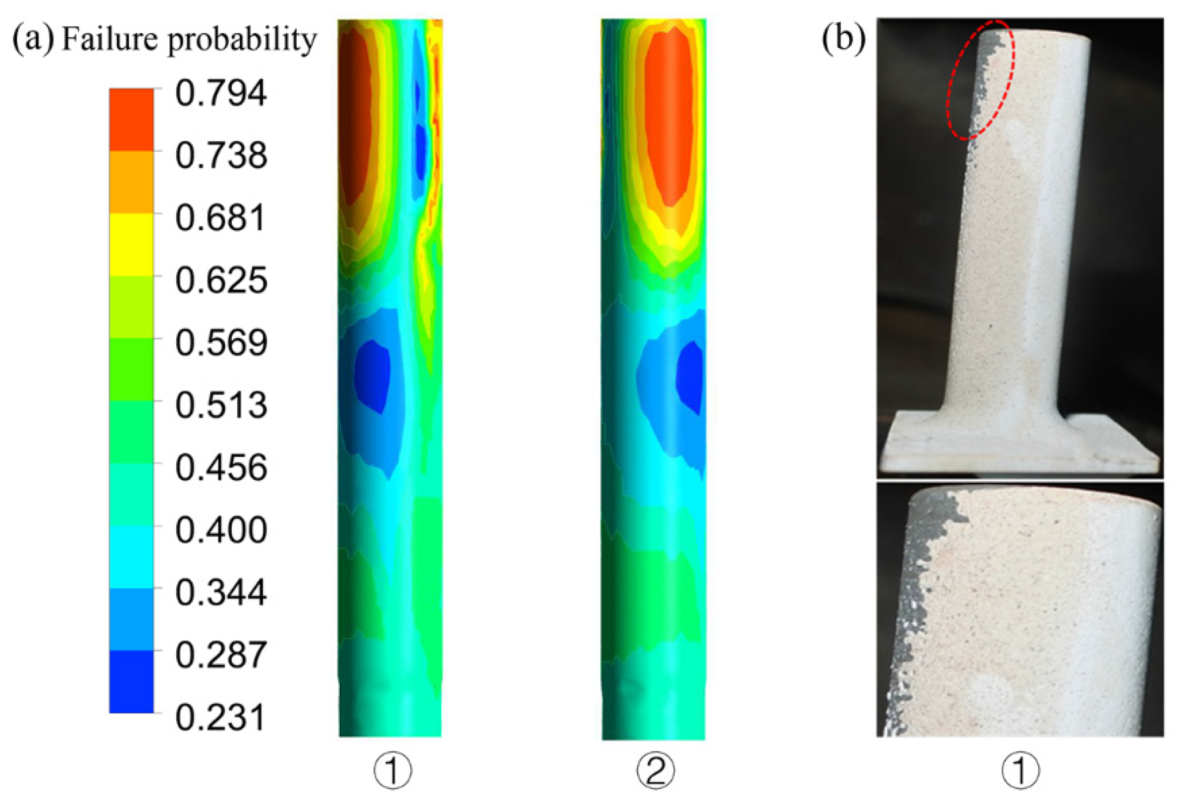 Coatings 14 00136 g014